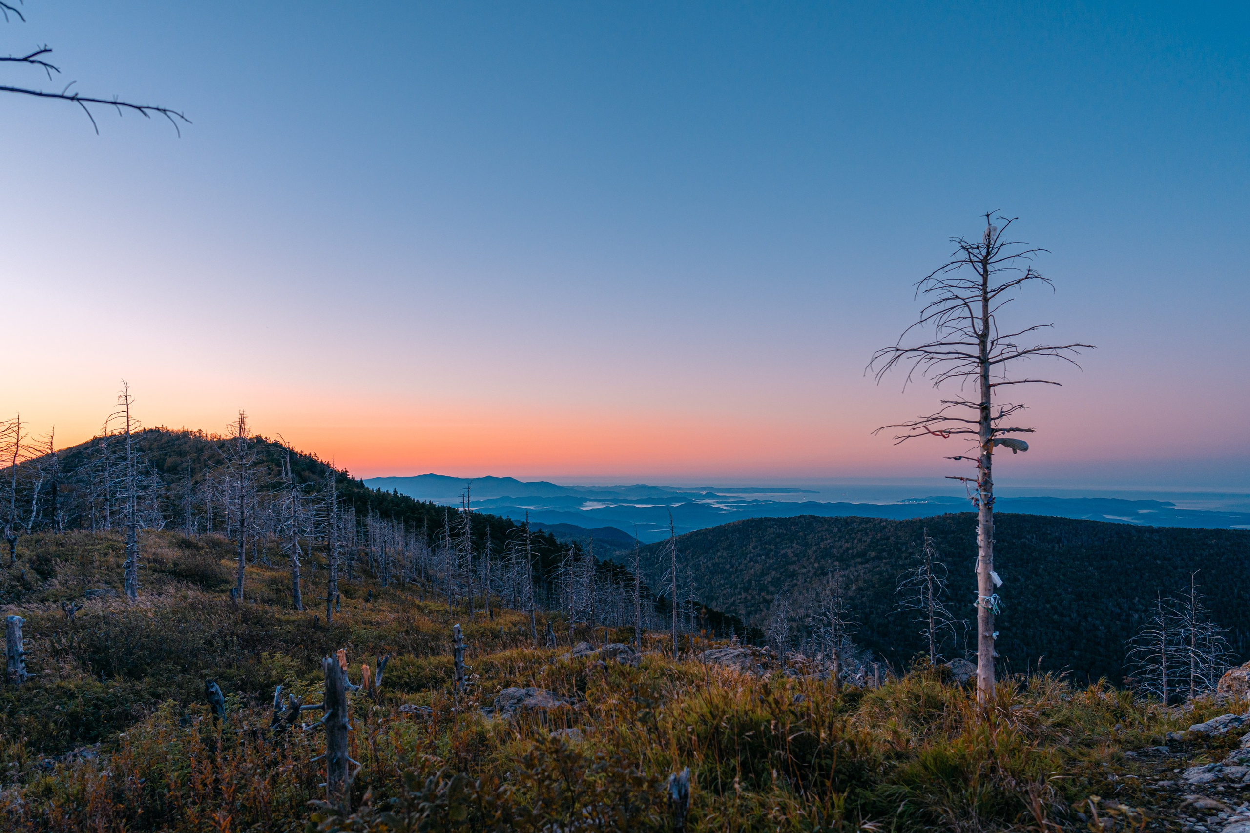 Гора Литовка (Фалаза). Иван Зайцев (IZIART) — создание культурного кода через фото и видео