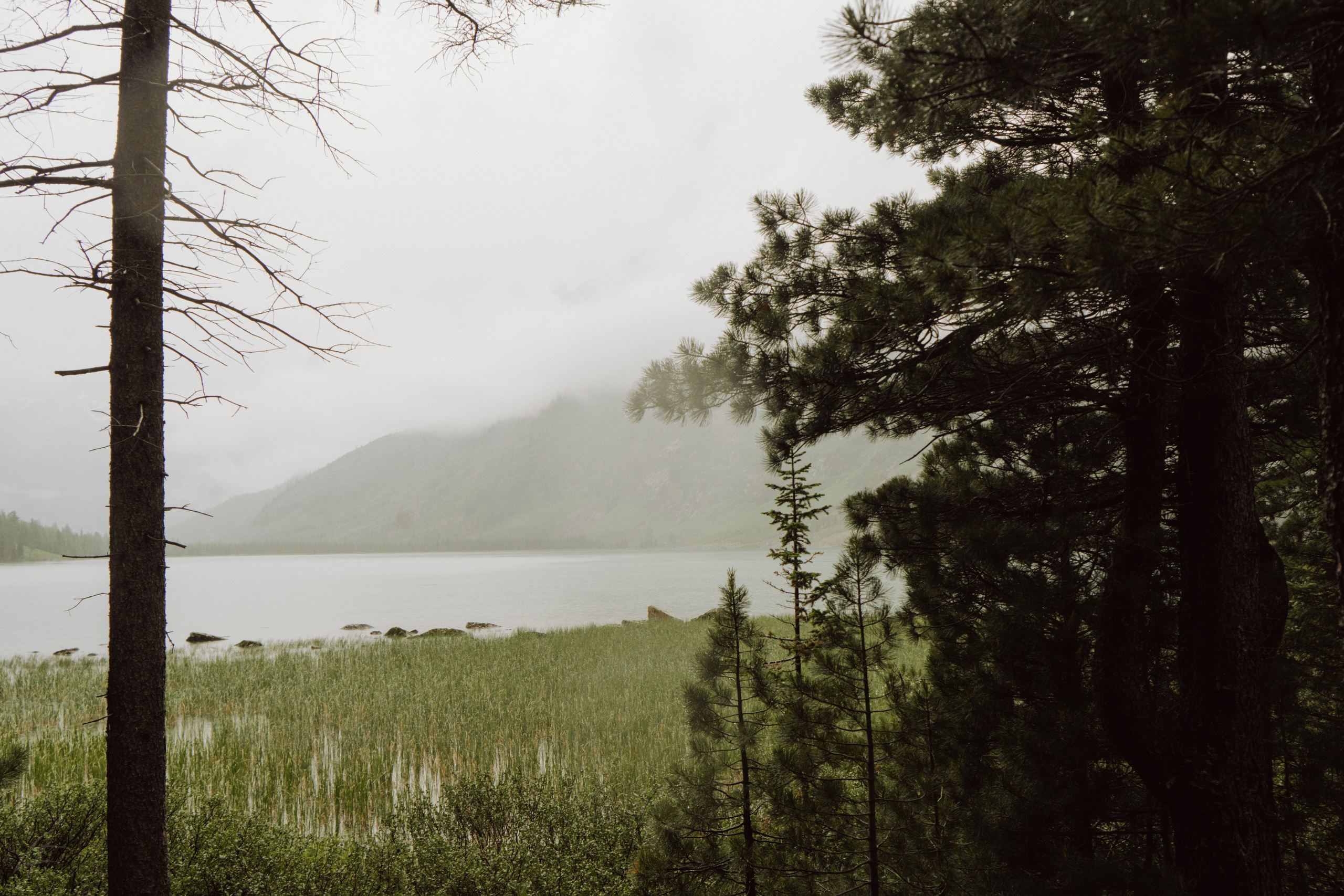 Алтай 2025. Лиза Фирстова