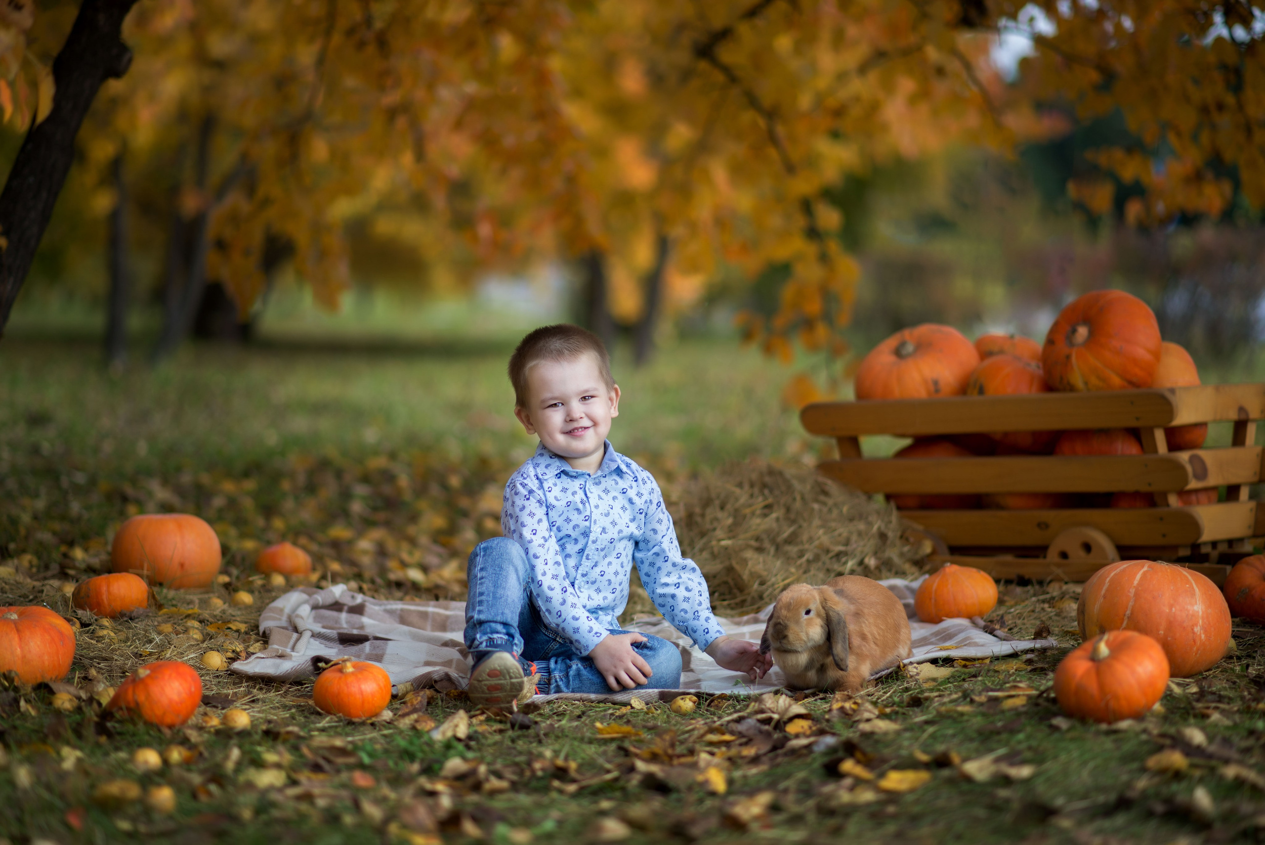 Детская фотосессия. Фотограф новорожденных Иркутск Надежда Мирошниченко