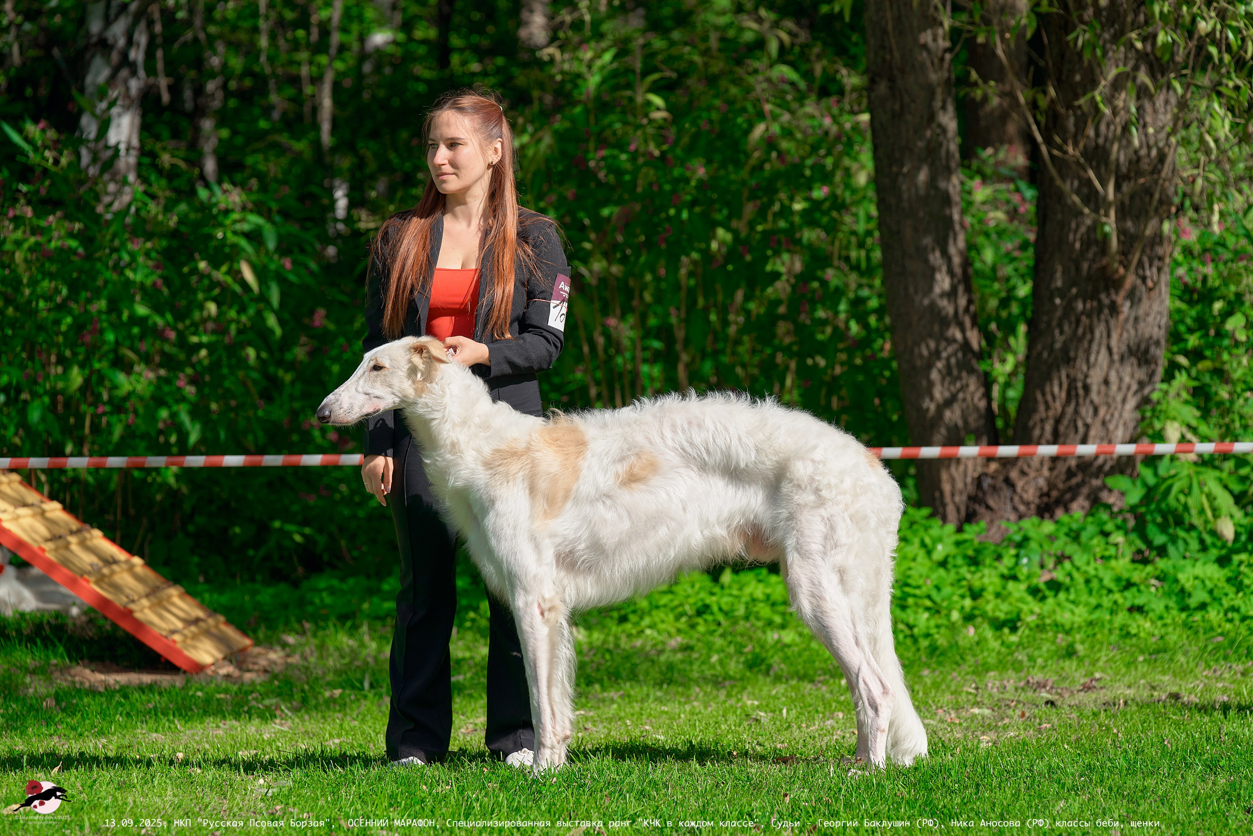 ОСЕННИЙ МАРАФОН | Специализированная выставка породы Русская Псовая Борзая ранг "КЧК в каждом классе"