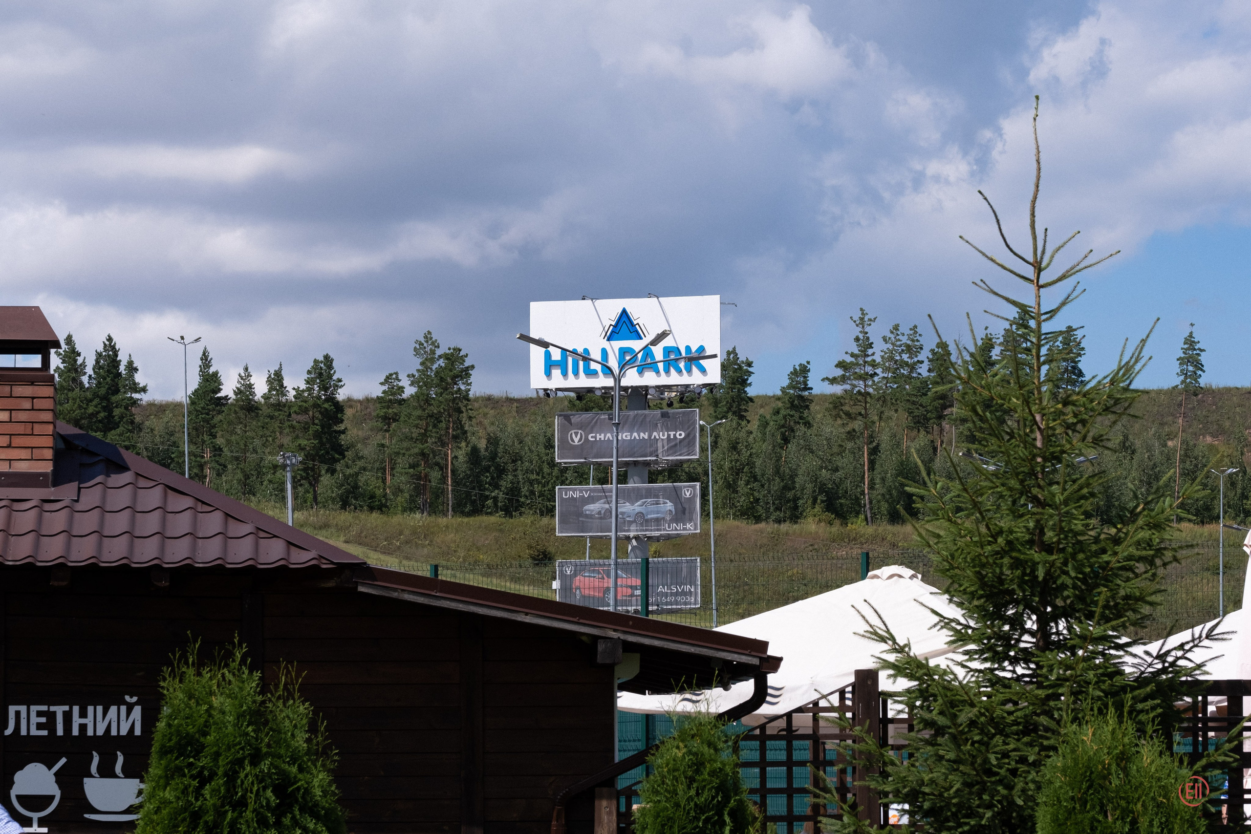 Липецк. Выставка собак. Питомник китайских хохлатых собак Poale Ell: купить щенка