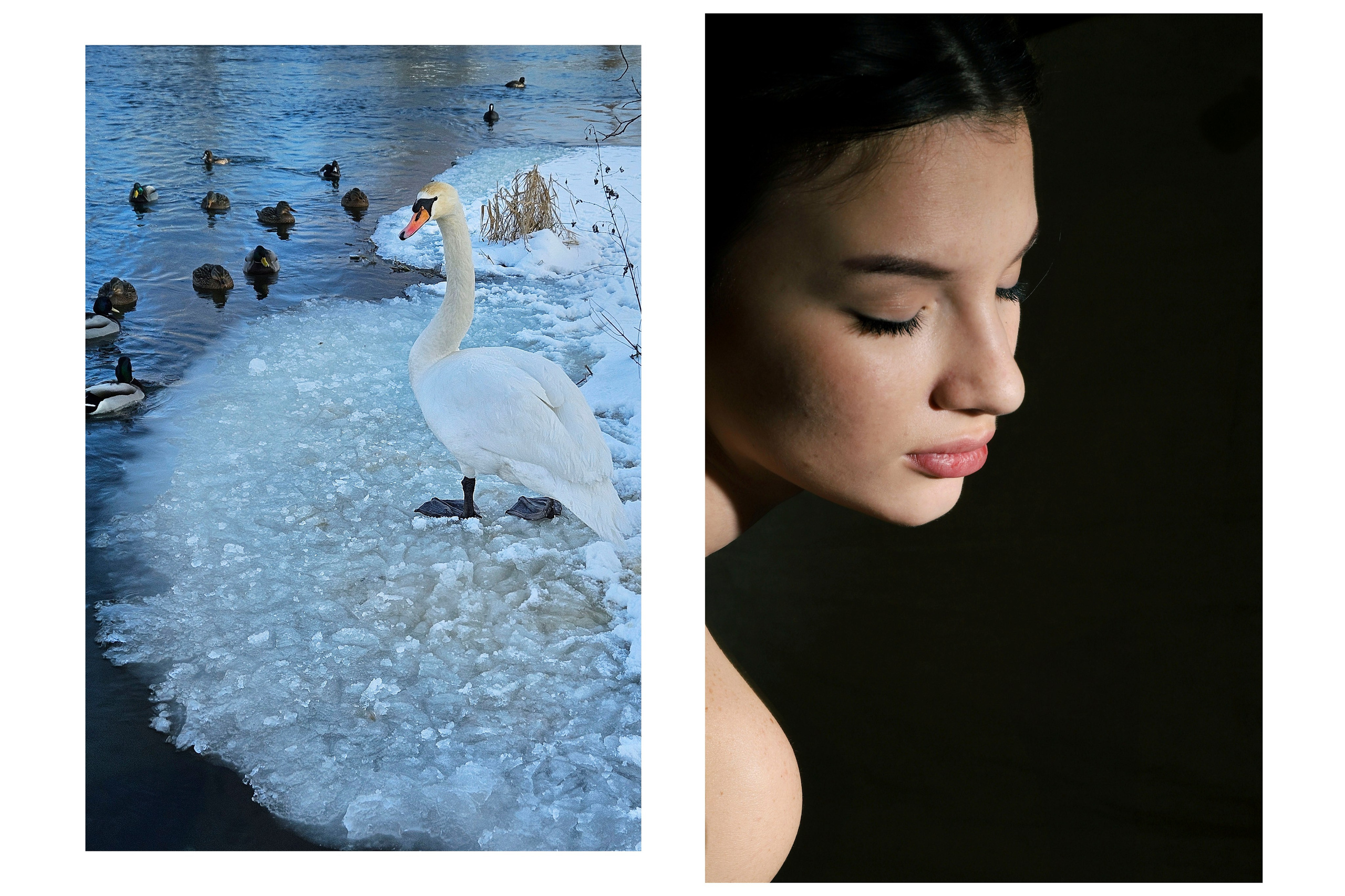 Connections (2020-2023). Tatyana Mazok creative photographer in Minsk