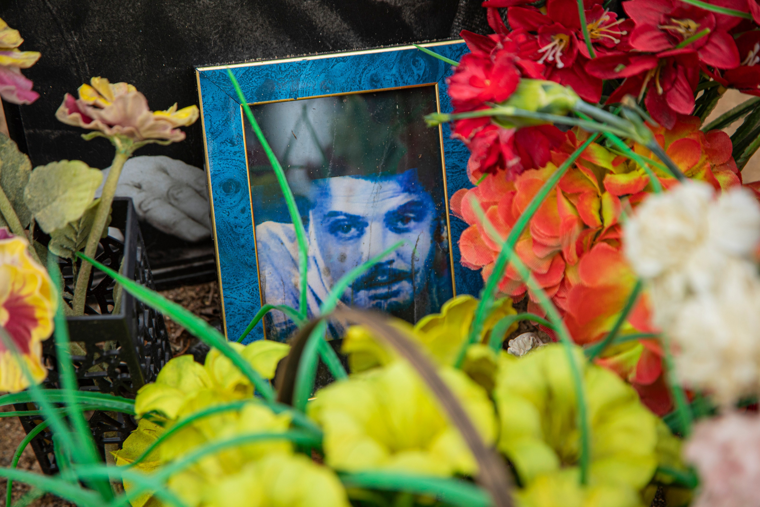 Осенняя прогулка по Новодевичьему кладбищу. Фотограф Сергей Ловкий