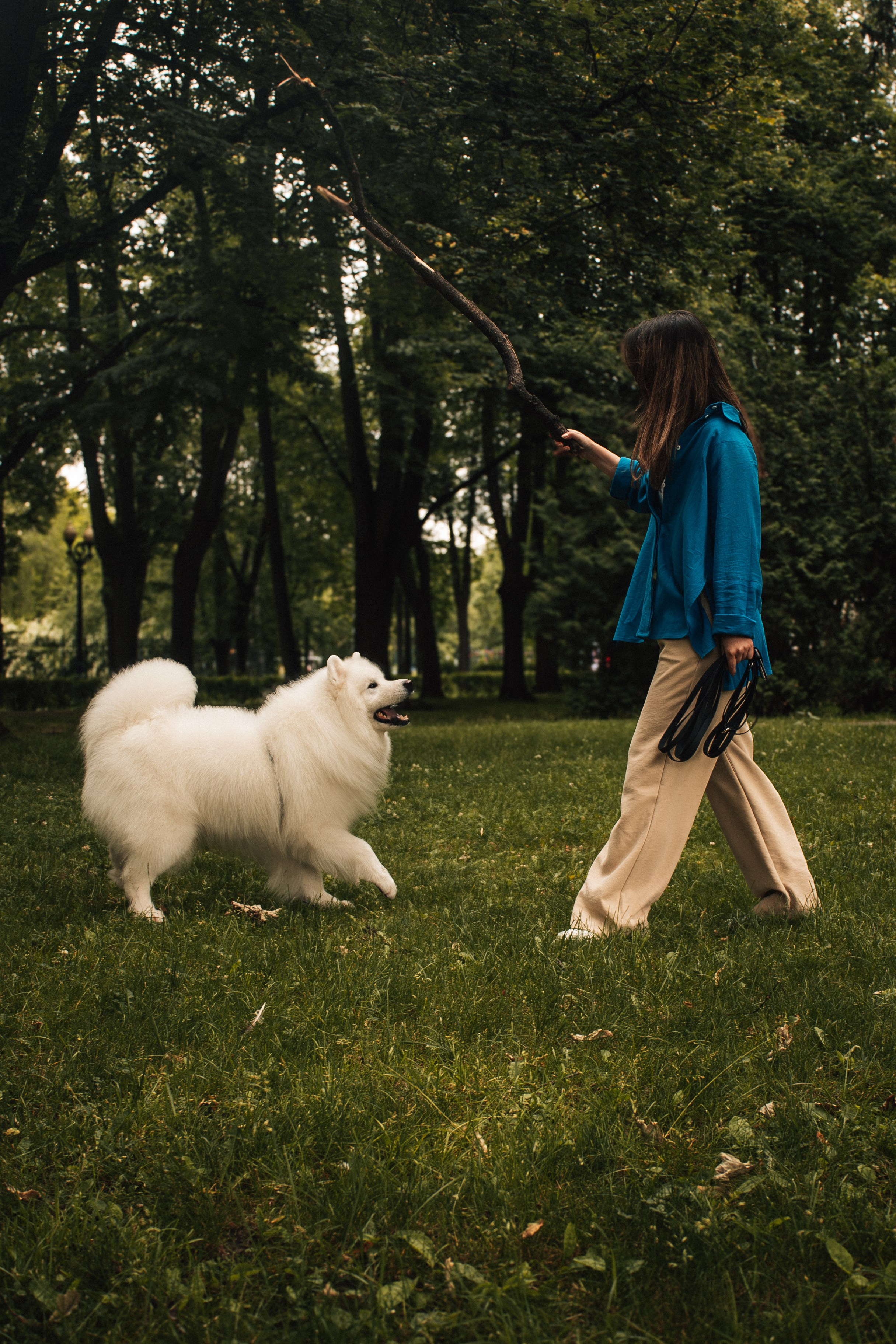 Прогулочная фотосессия с собакой. Фотограф-анималист в Москве Екатерина Тихонова