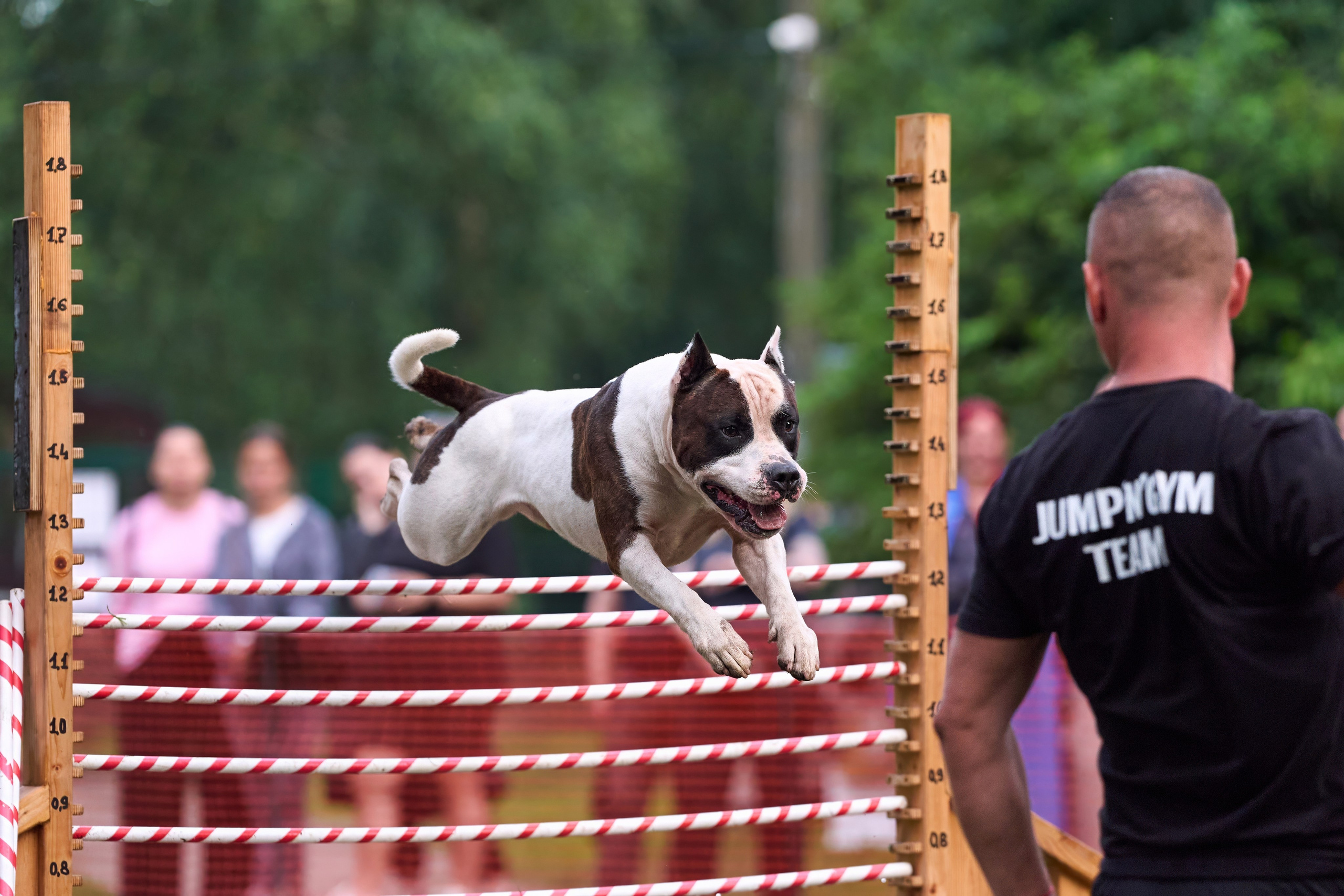 Jump'n'Gym JUMP! — 2024. Фотограф-анималист Михаил Манухин