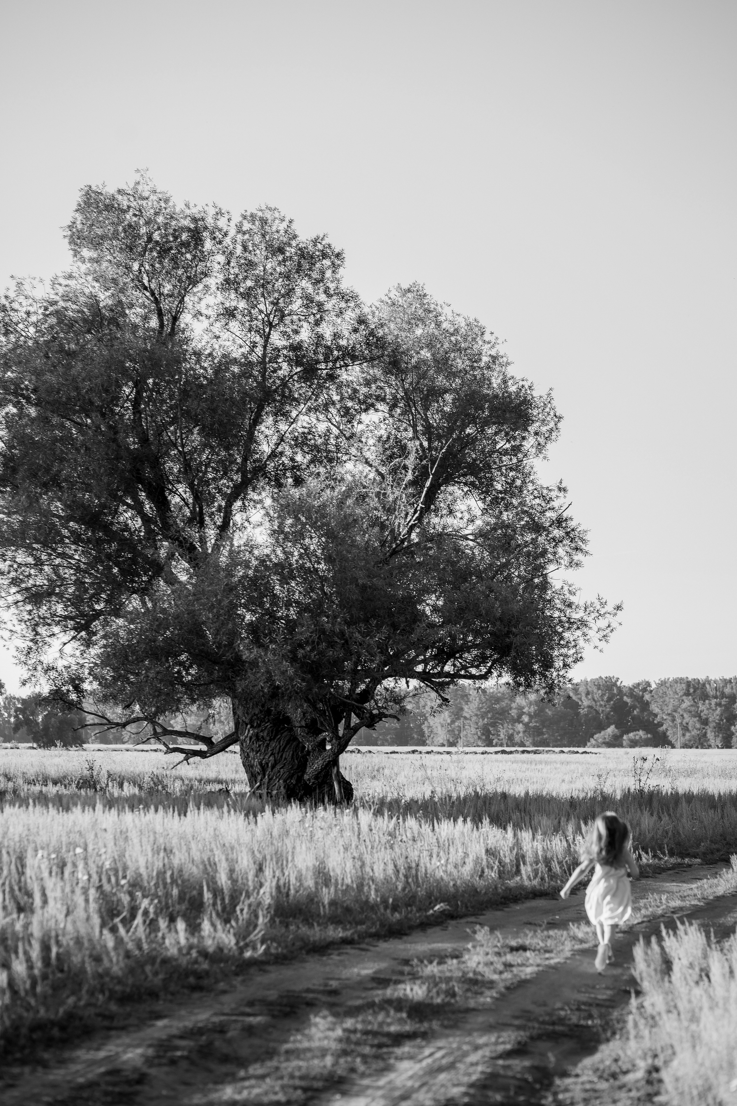 Семейная фотосессия. Фотограф в городе Мелеуз Мусакаева Элиза