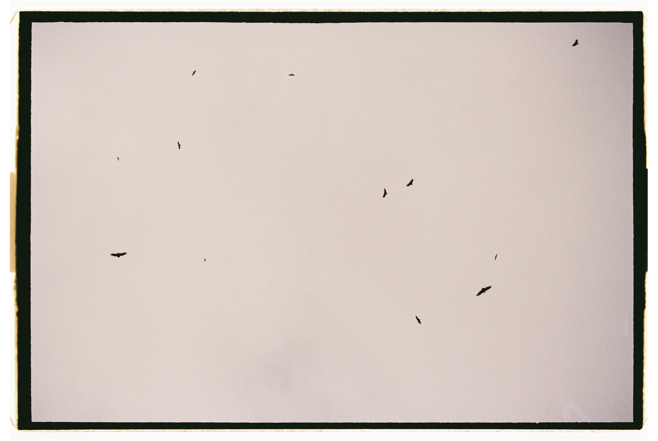 Заметки путешественника. Свадебный фотограф Елизавета Беляева