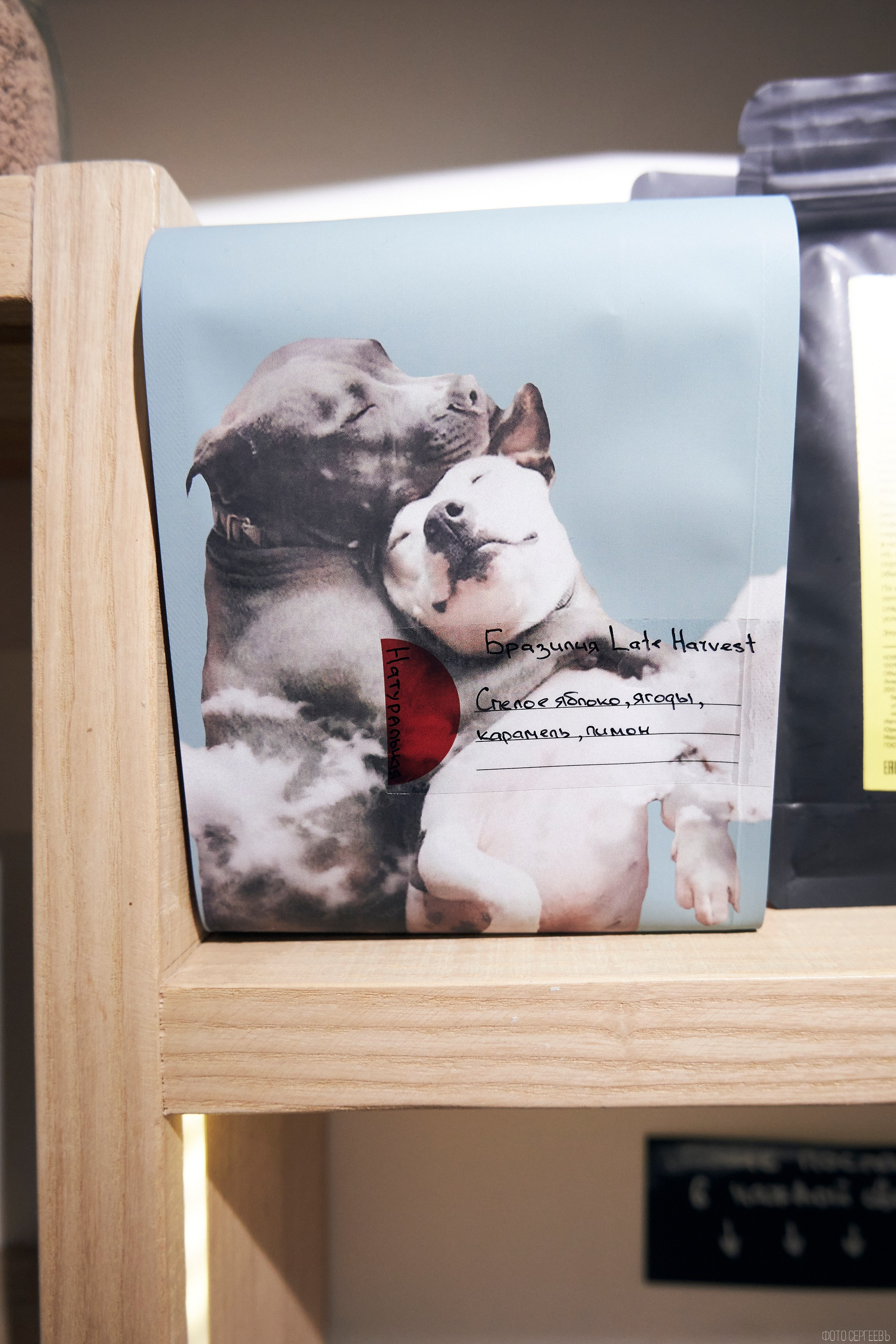 Кутята Coffee Shop. Фотографъ Сергѣевъ. Поймать мгновеніе