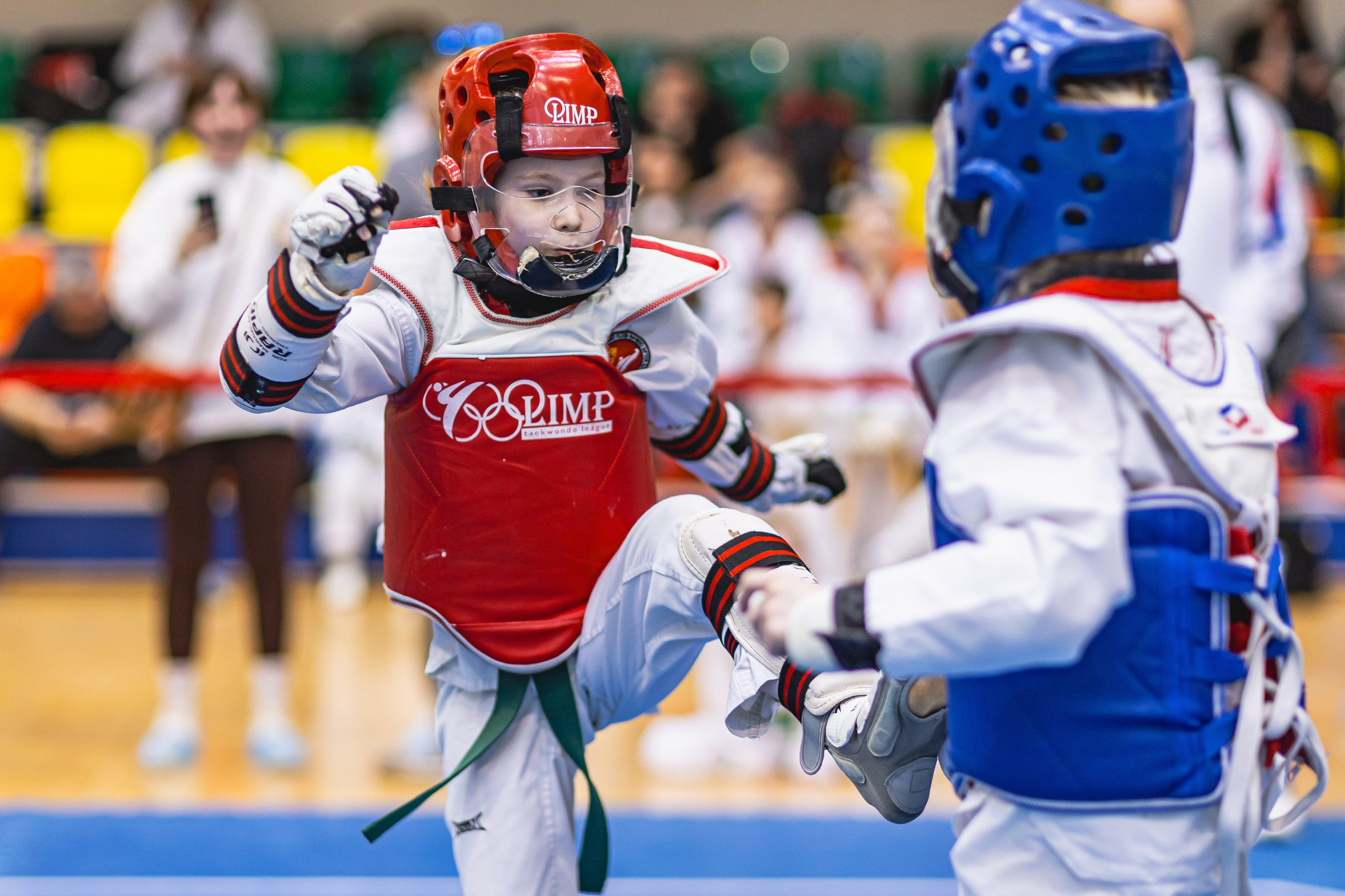 Турнир ВДЮФСОО «ФЕДЕРАЦИЯ ДЕТСКОГО ТХЭКВОНДО РОССИИ» и МОО СПКЕ «ЭРИДАН» по «СПОРТИВНОМУ БОЮ КЕРУГИ». Спортивный фотограф Максим Серегин