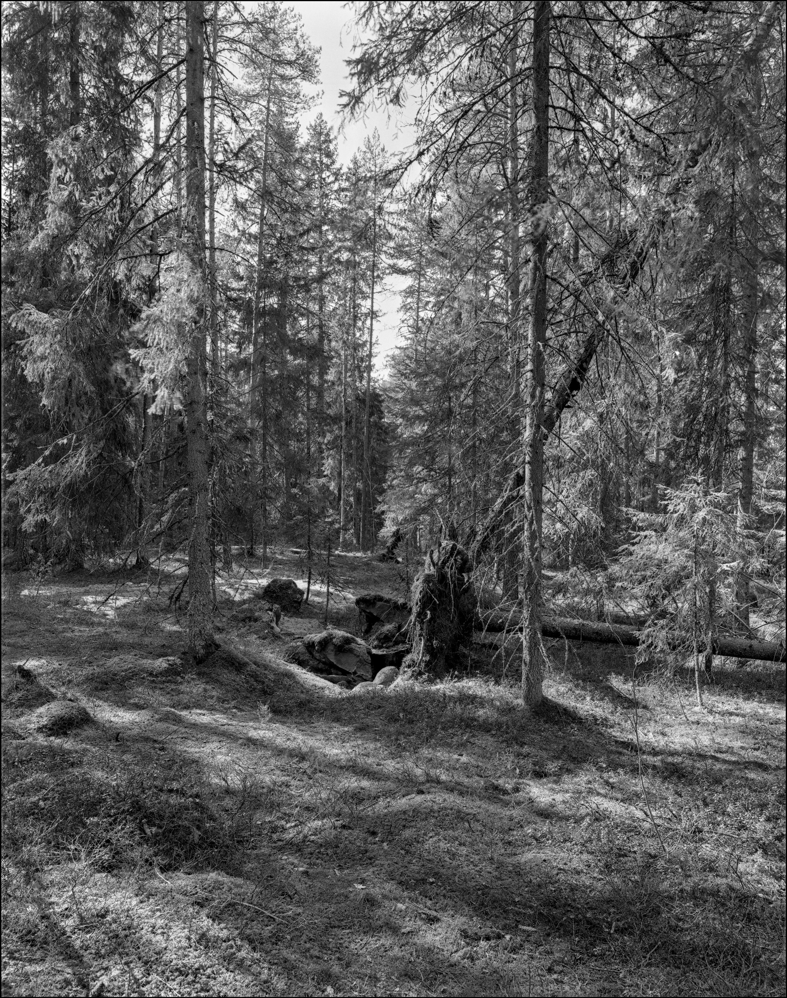 Карелия. Sergey Kondriuk art-photographer | artist