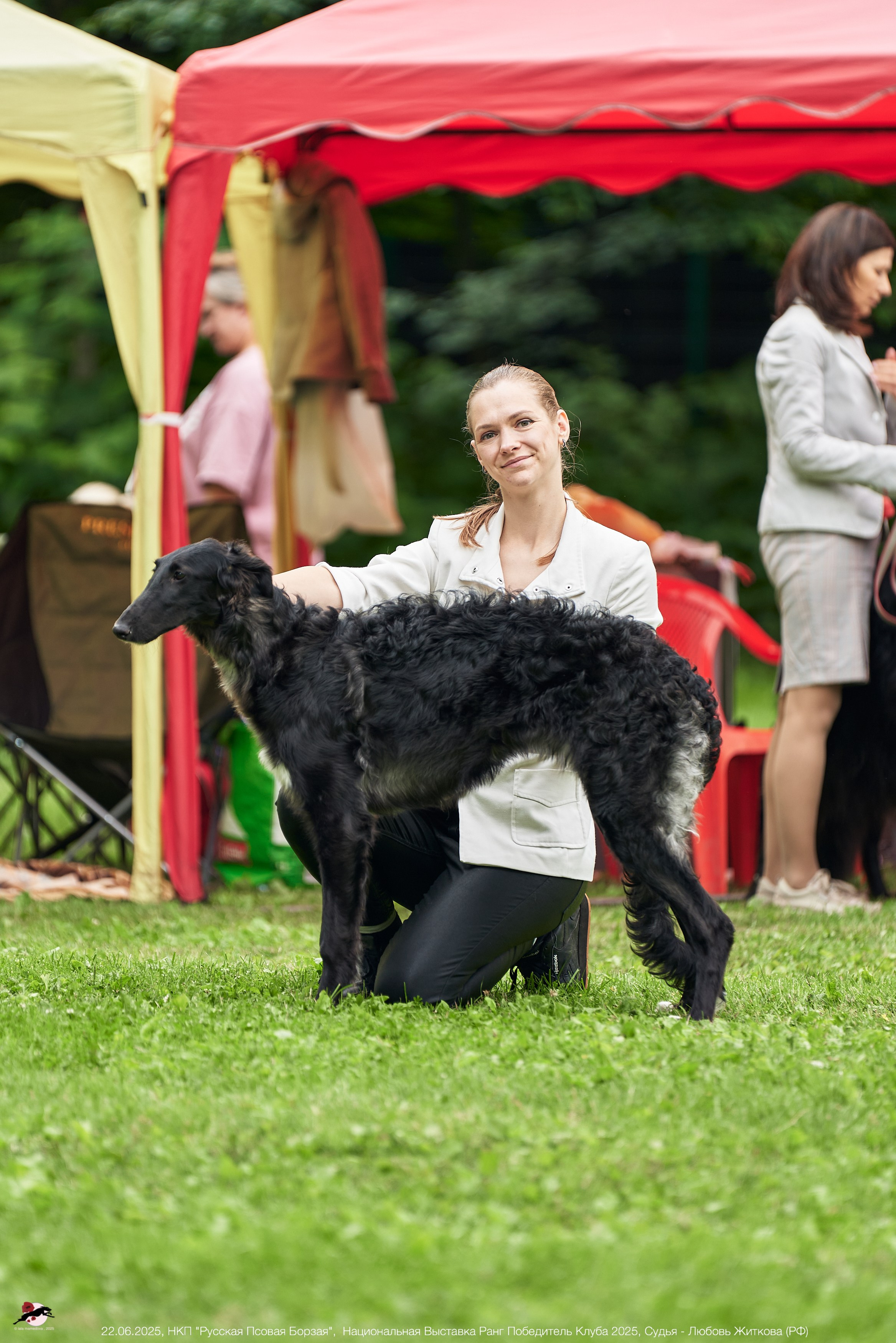 22.06.2025 | Национальная Выставка НКП "Русская Псовая Борзая"