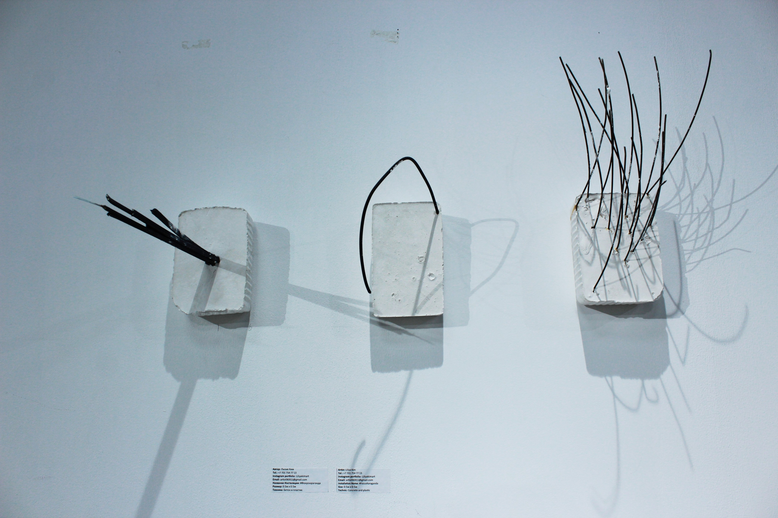 «Генетический код» Алматы 2019. Лилия Ким. Междисциплинарный художник