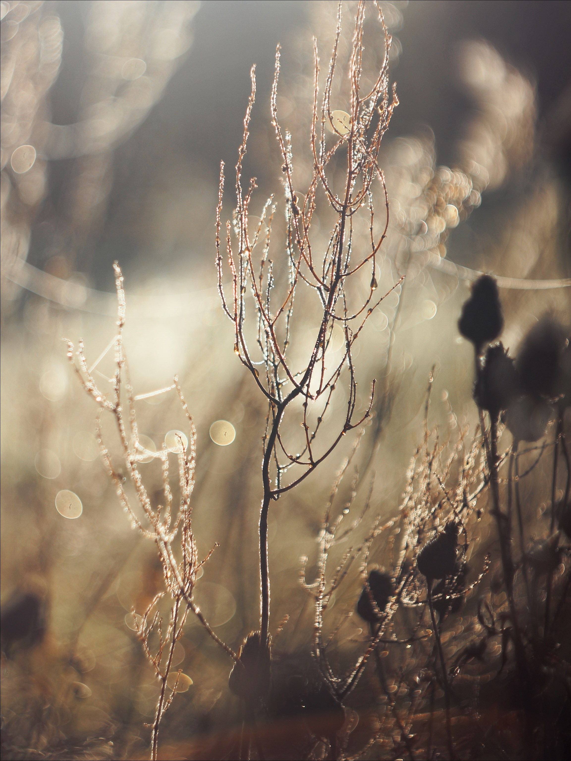 Опустошенность. С любовью, фотохудожник