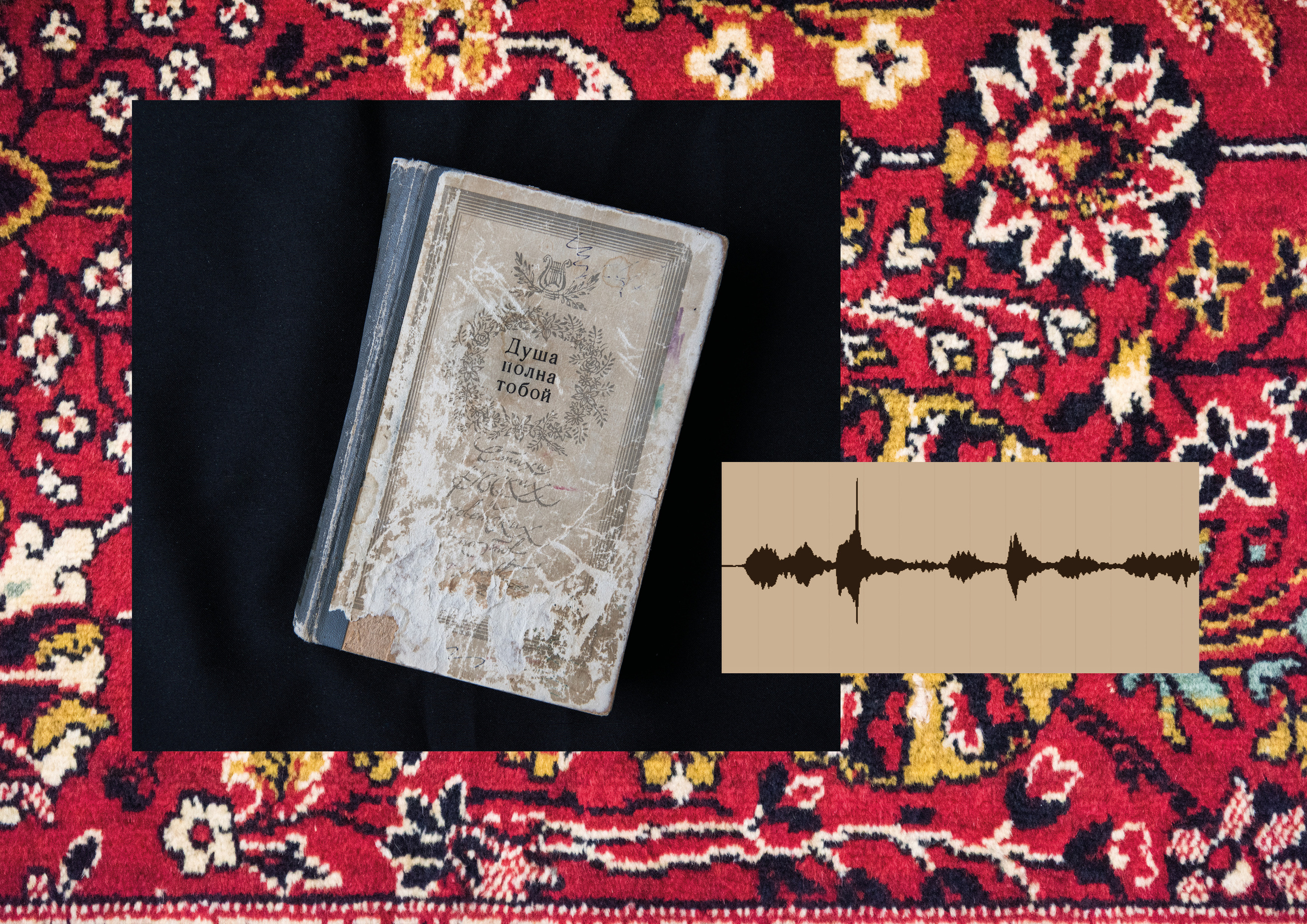 Нет сигнала. Антон Новгородов документальный фотограф во Владивостоке