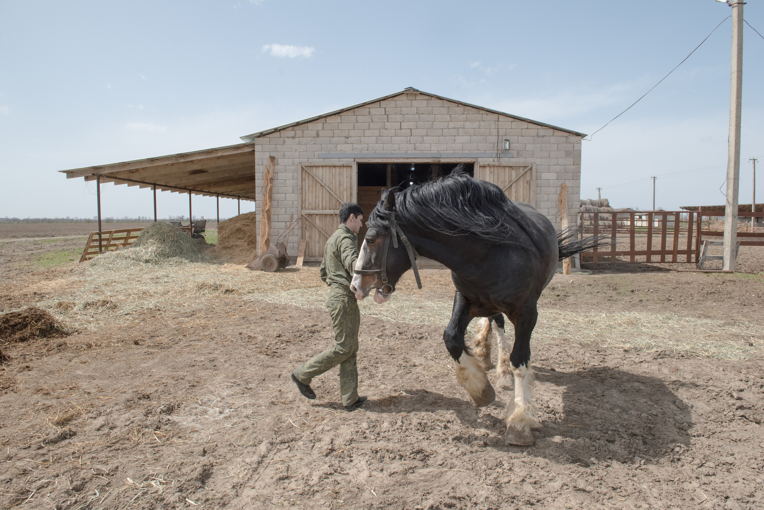 Terek Cossacks. Anton Novgorodov is a documentary photographer in Vladivostok