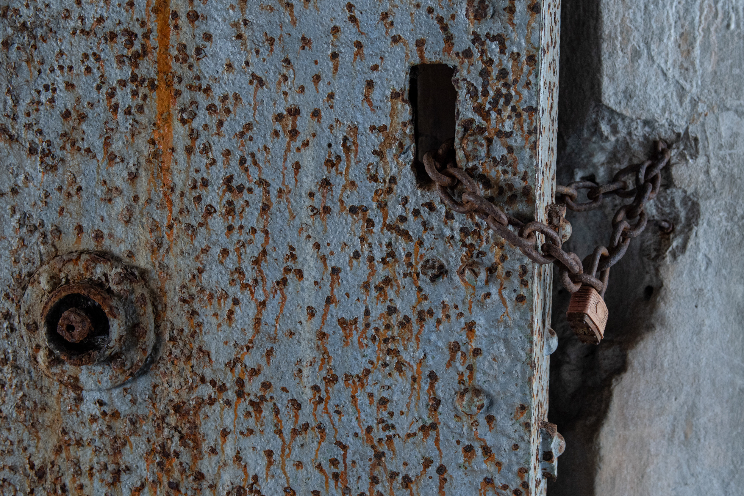 Свидетели розового сияния. Антон Новгородов документальный фотограф во Владивостоке