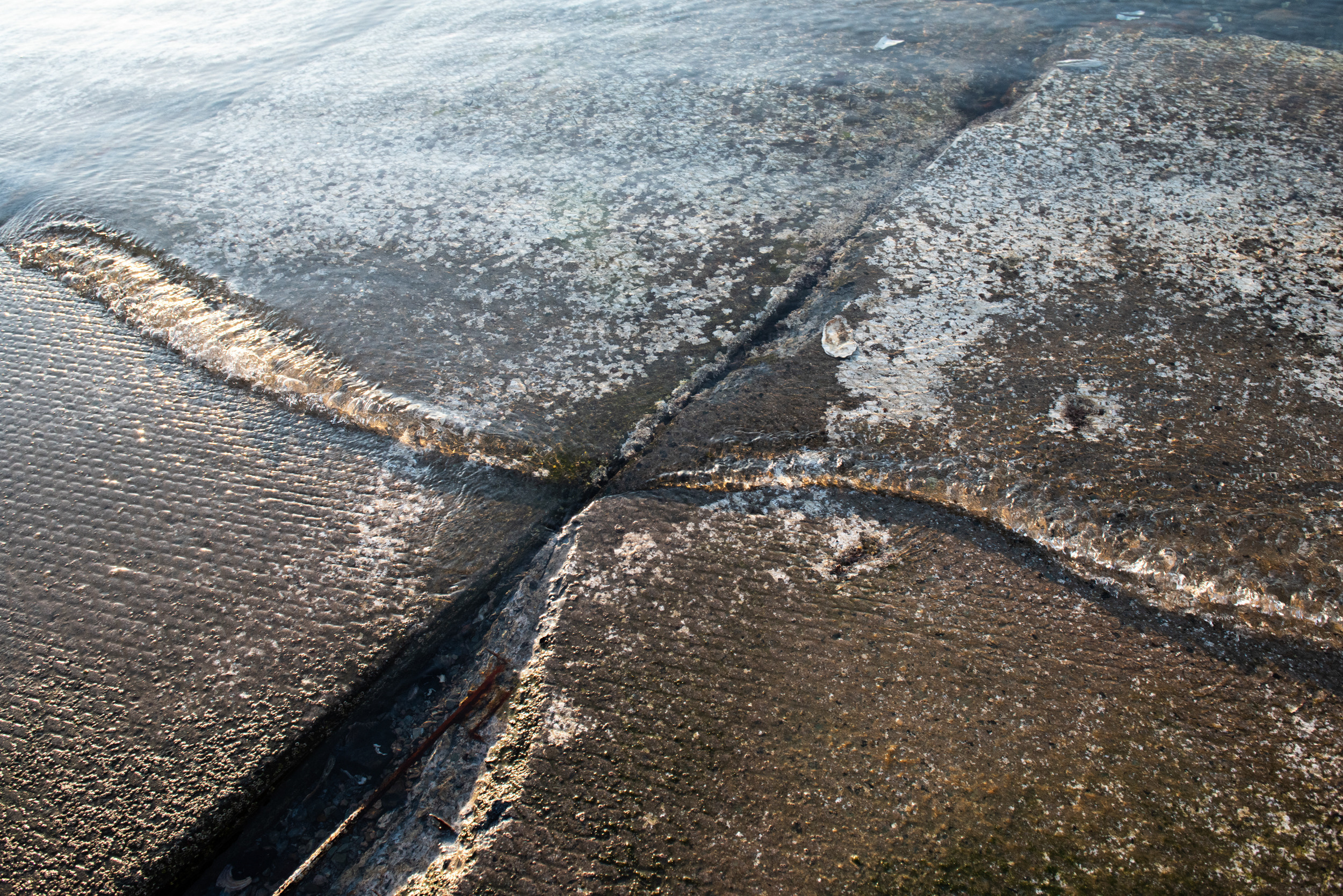 Свидетели розового сияния. Антон Новгородов документальный фотограф во Владивостоке
