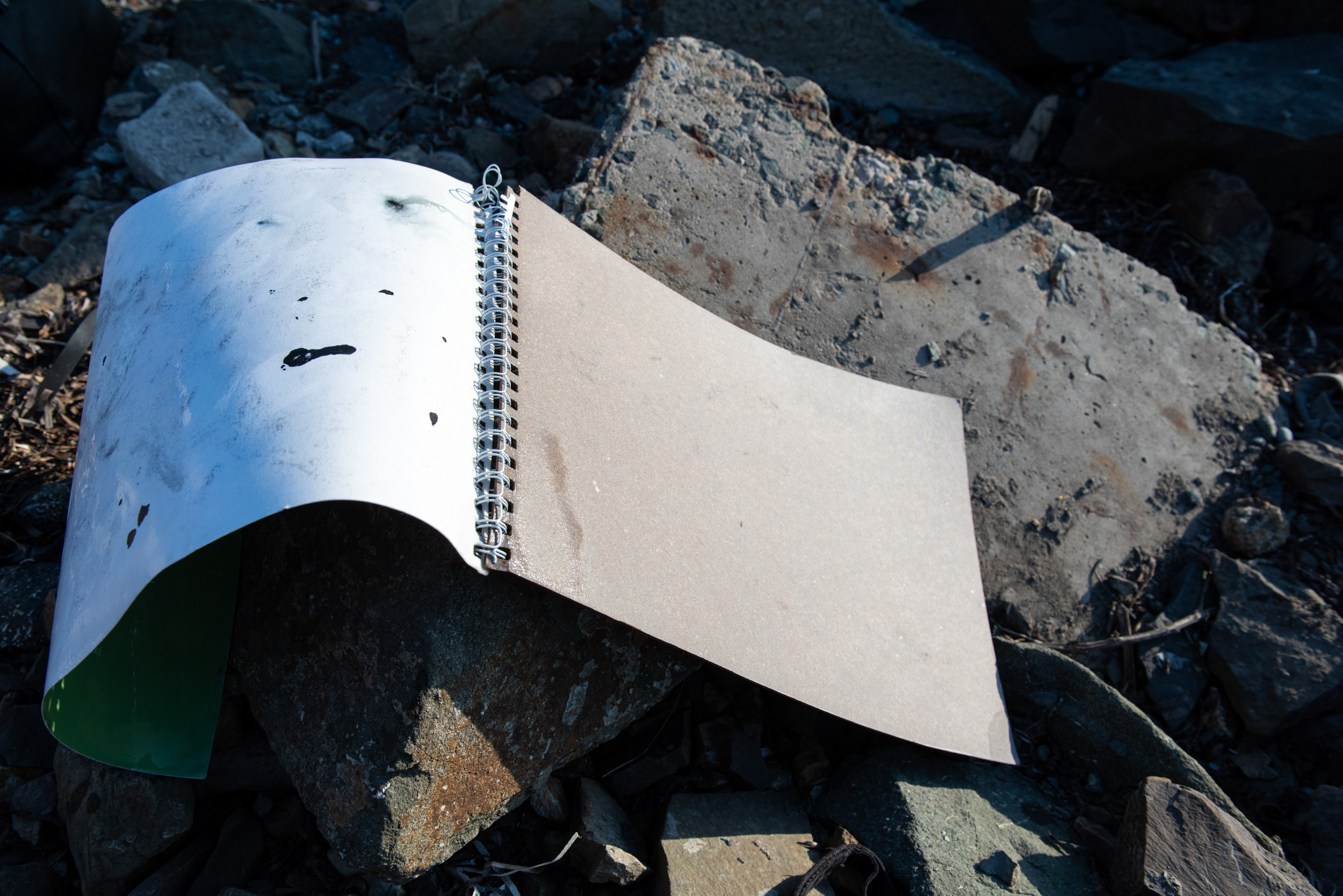 Свидетели розового сияния. Антон Новгородов документальный фотограф во Владивостоке