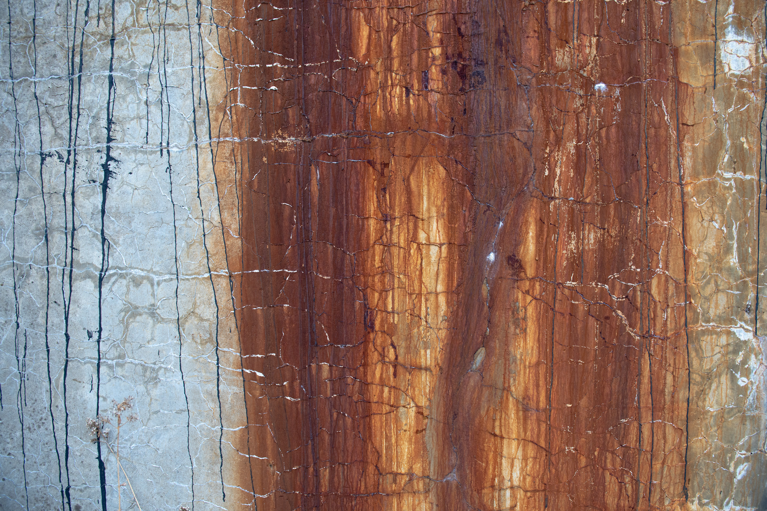 Свидетели розового сияния. Антон Новгородов документальный фотограф во Владивостоке
