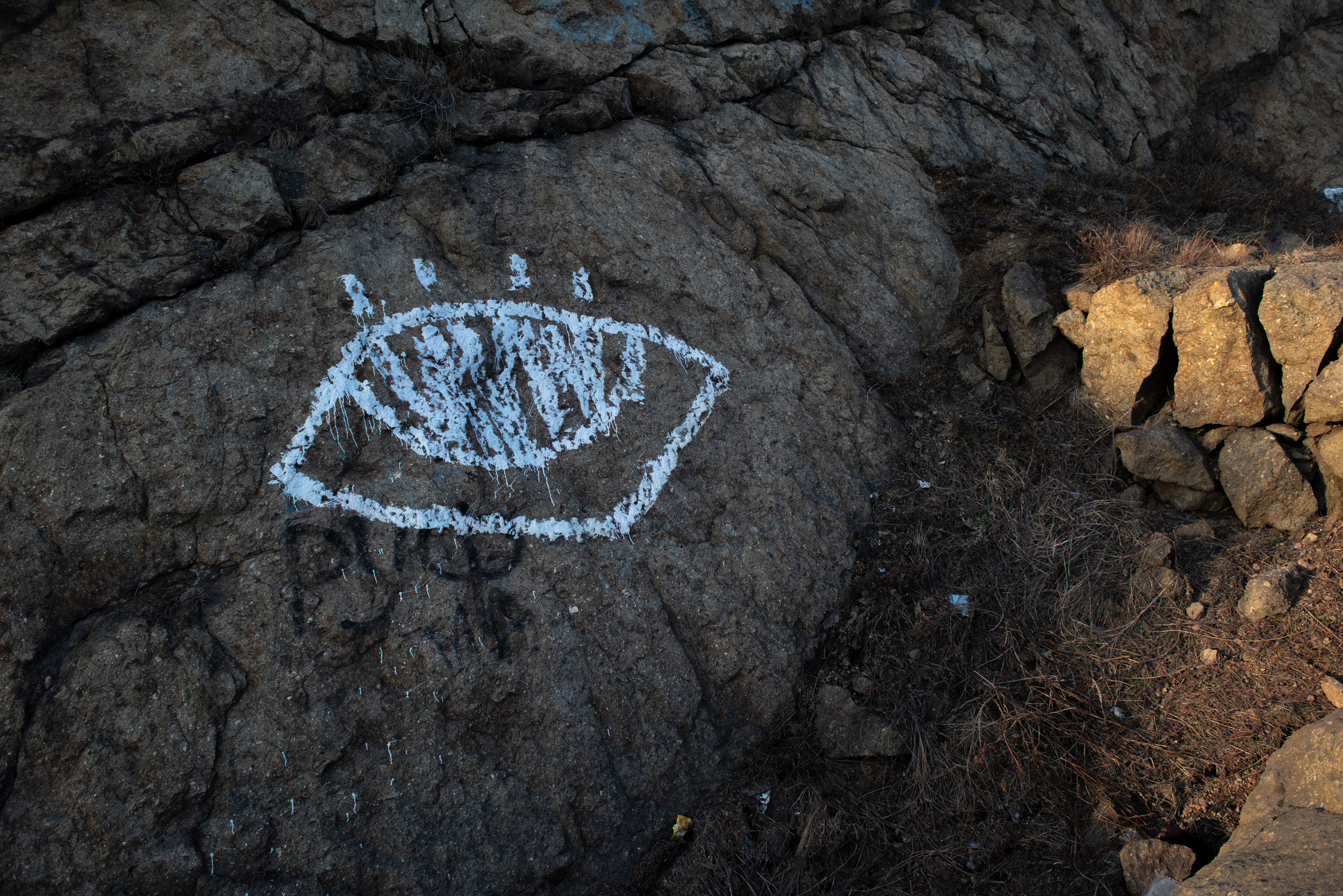 Свидетели розового сияния. Антон Новгородов документальный фотограф во Владивостоке