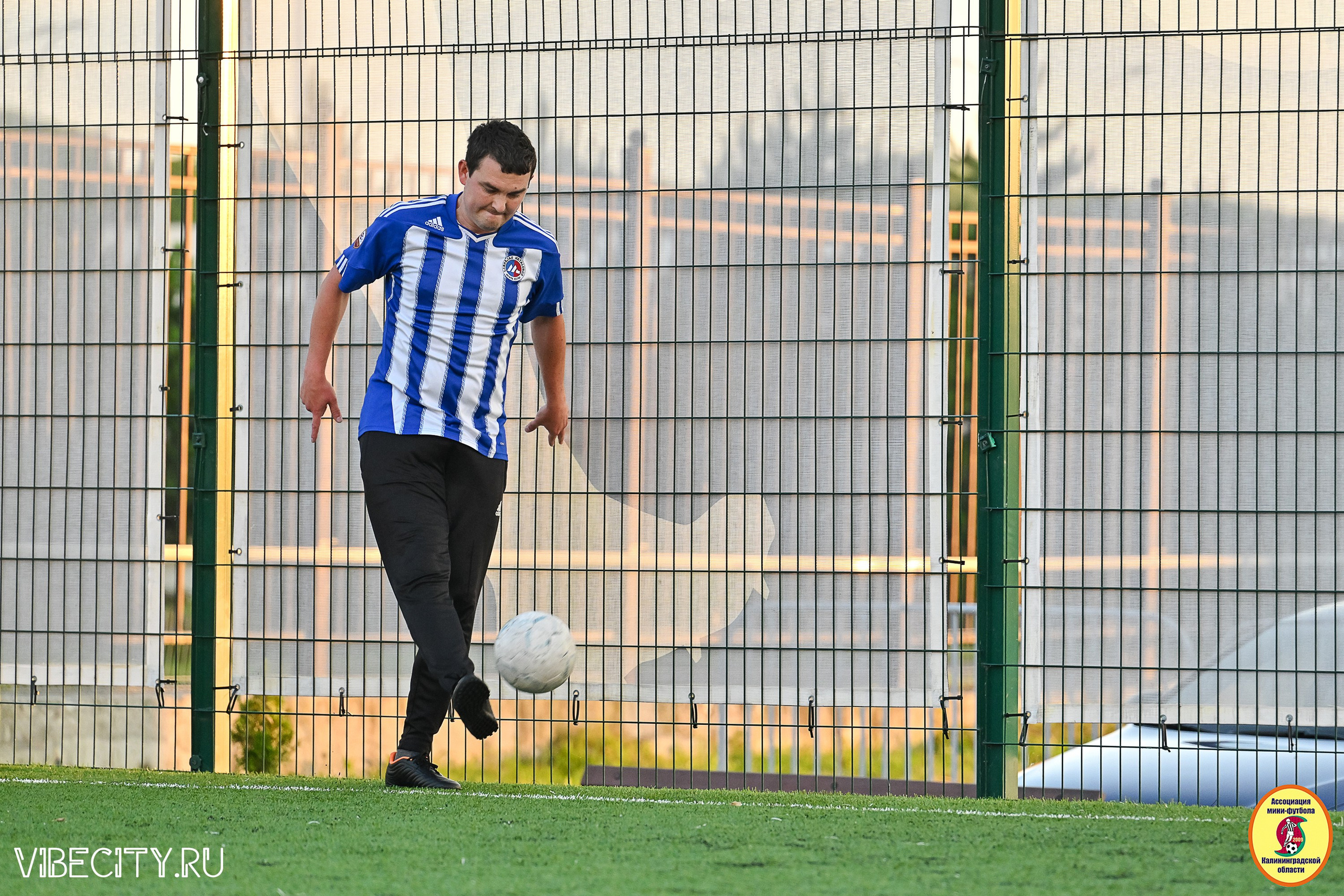 ИГРЫ МИНИ-ФУТБОЛЬНОЙ И КОРПОРАТИВНОЙ ЛИГИ. VIBECITY.RU Вайб Сити Ру Фоторепортажи Фотоотчеты Калининград