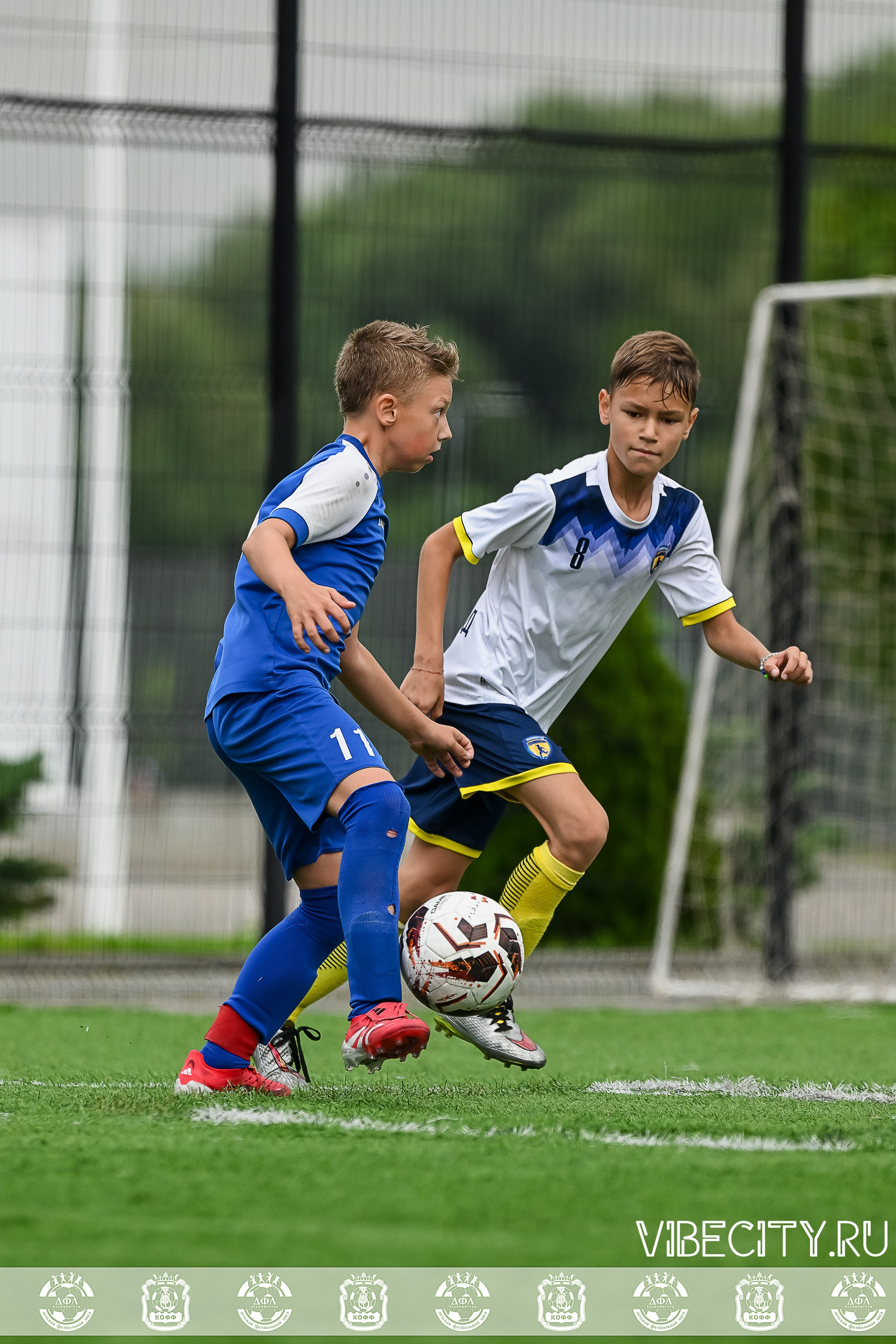Калининградская Детская Футбольная Лига. VIBECITY.RU Вайб Сити Ру Фоторепортажи Фотоотчеты Калининград