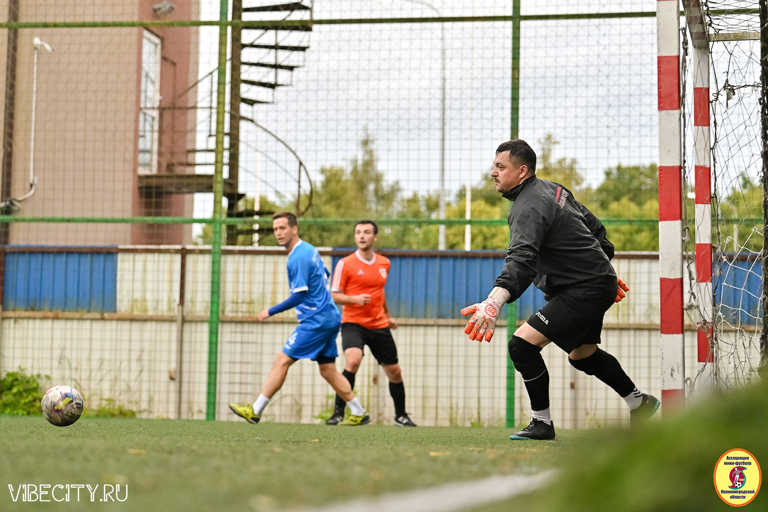 ИГРЫ МИНИ-ФУТБОЛЬНОЙ И КОРПОРАТИВНОЙ ЛИГИ. VIBECITY.RU Вайб Сити Ру Фоторепортажи Фотоотчеты Калининград