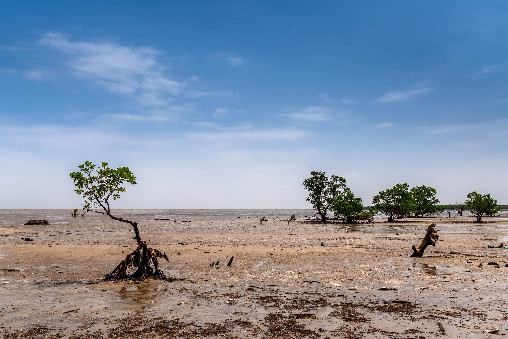 Танзания. Багамойо. Tanzania, Bagamoyo. Фотограф Алексей Скоробогатько
