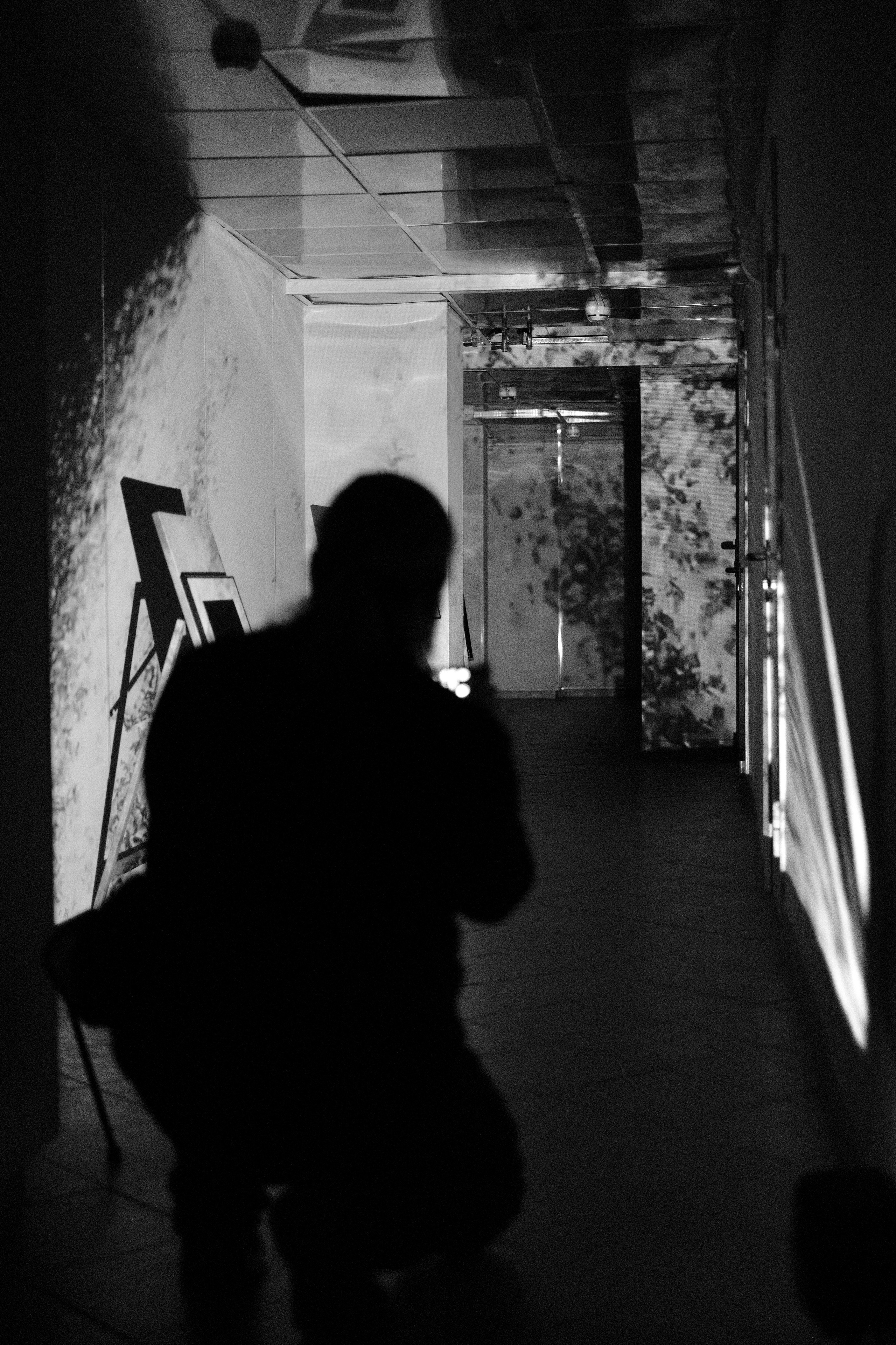 Москва 30.11-01.12.2024. Фотострелка