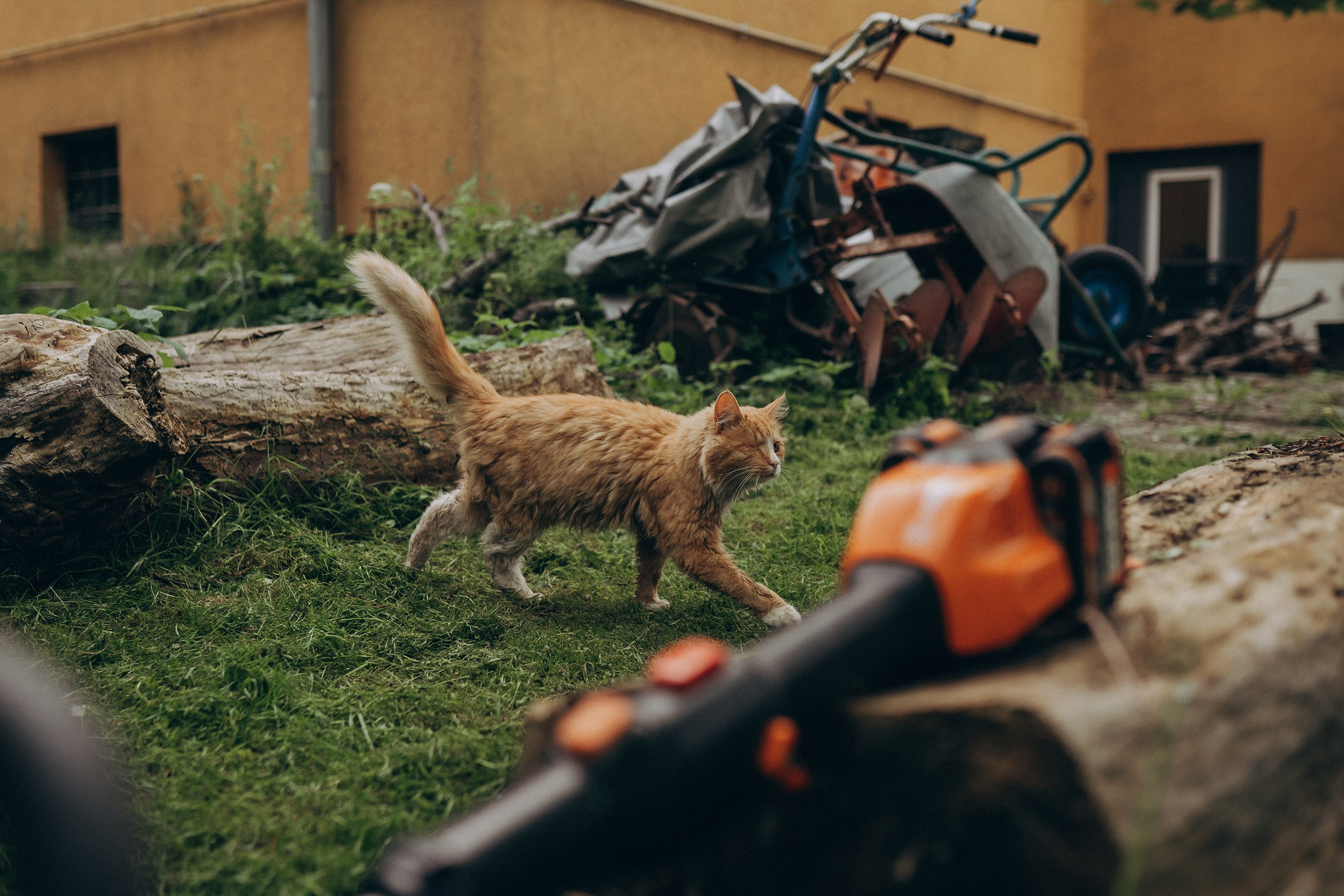 Поколения. Детский и семейный фотограф — Калининград — Юля Насифуллина