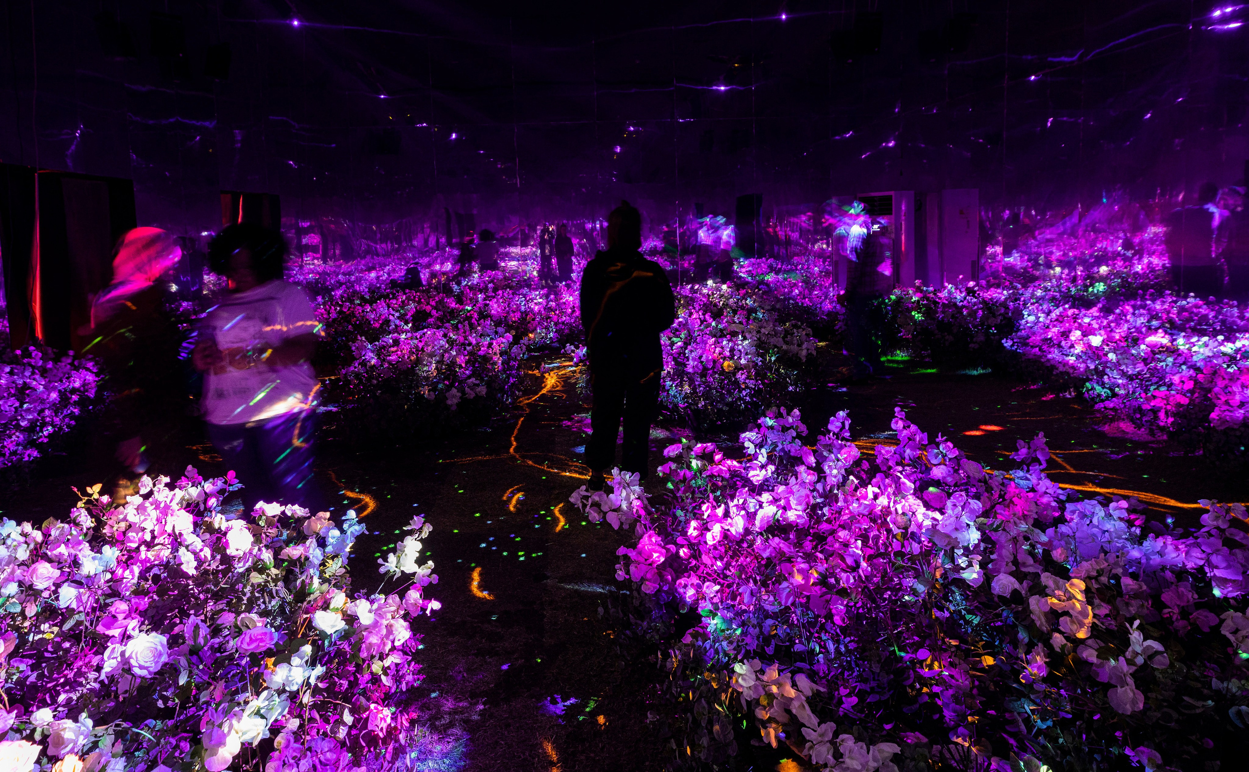 7 INTERACTIVE INSTALLATIONS | COP 27. OOPS TEAM