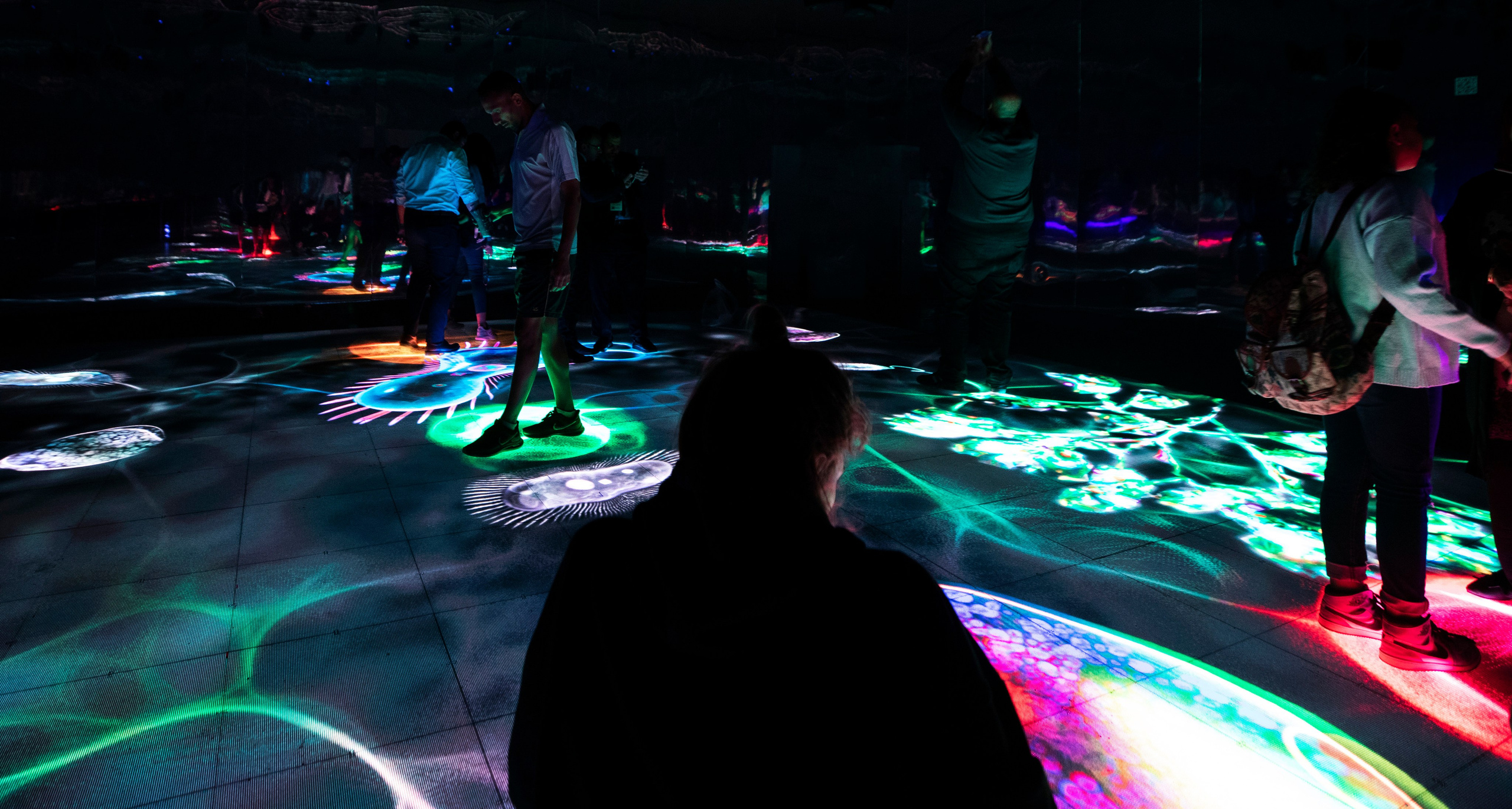 7 INTERACTIVE INSTALLATIONS | COP 27. OOPS TEAM