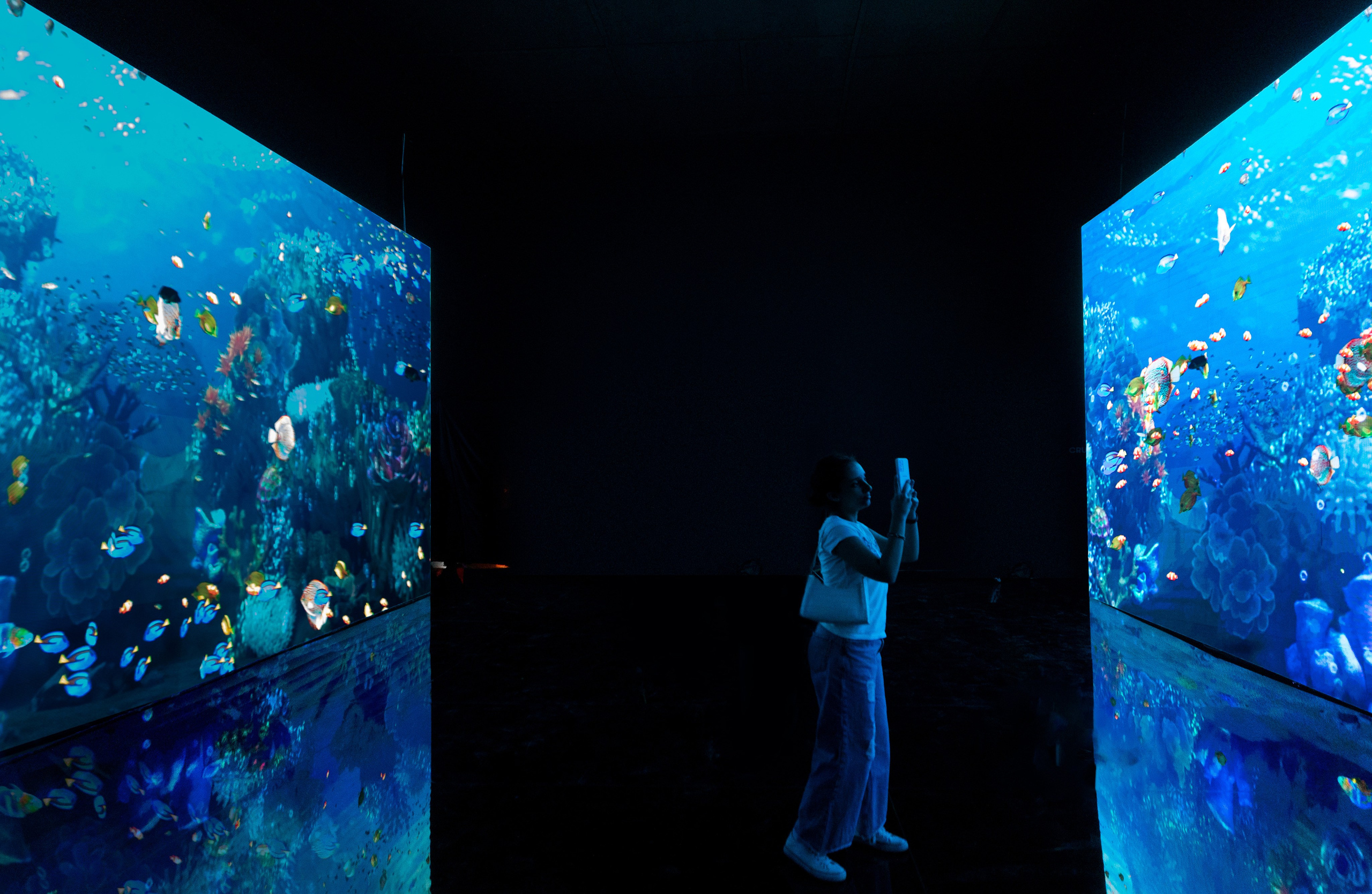 7 INTERACTIVE INSTALLATIONS | COP 27. OOPS TEAM