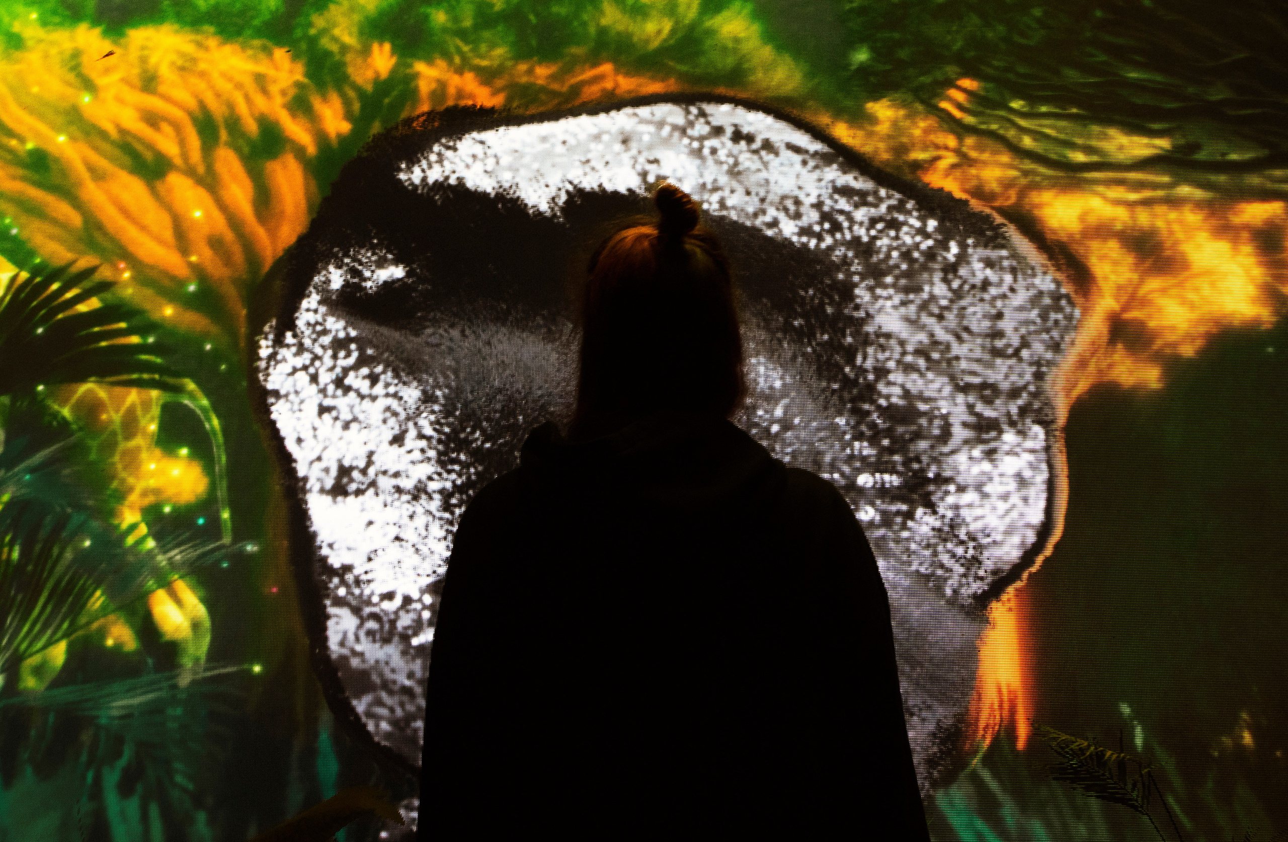 7 INTERACTIVE INSTALLATIONS | COP 27. OOPS TEAM