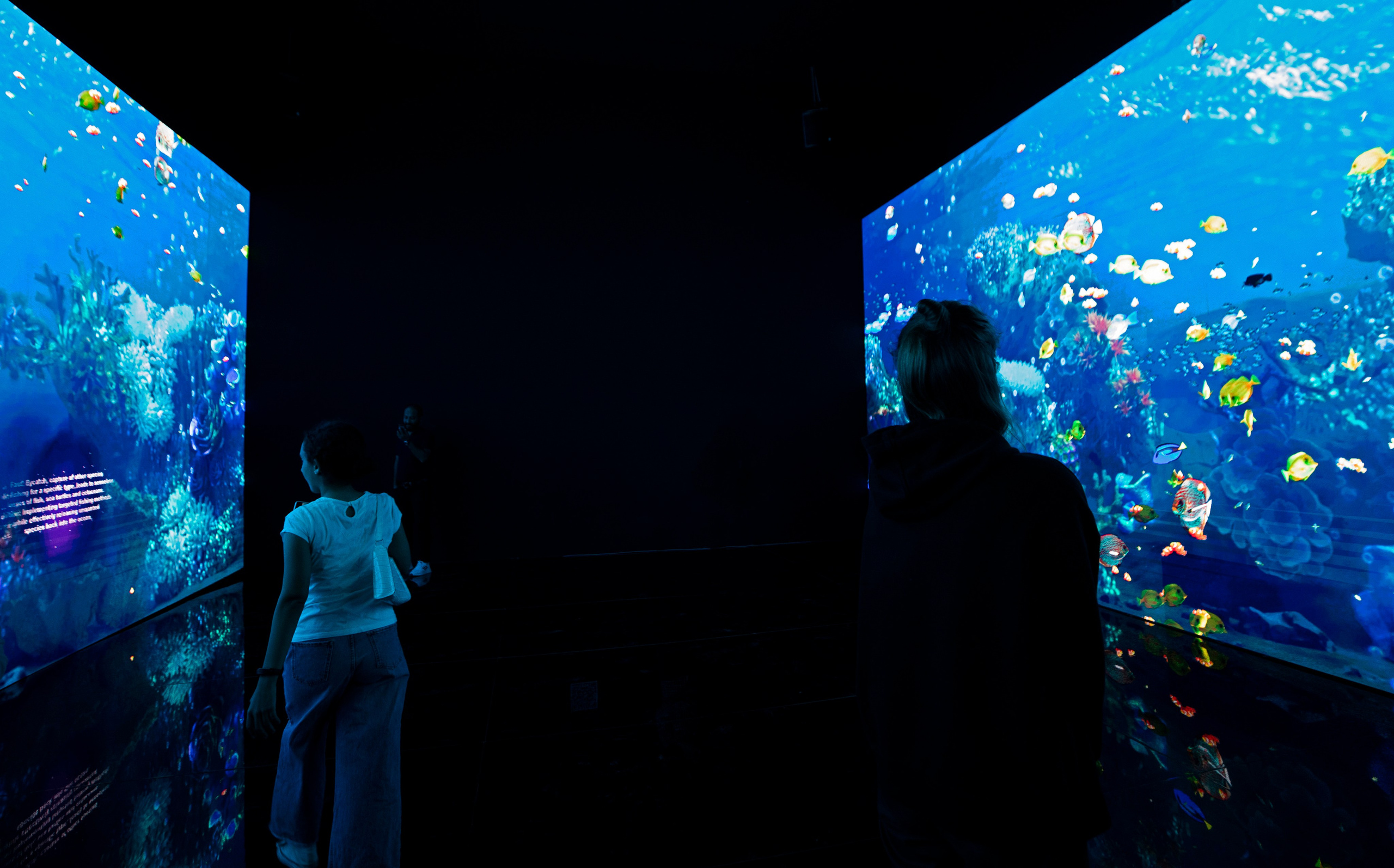 7 INTERACTIVE INSTALLATIONS | COP 27. OOPS TEAM