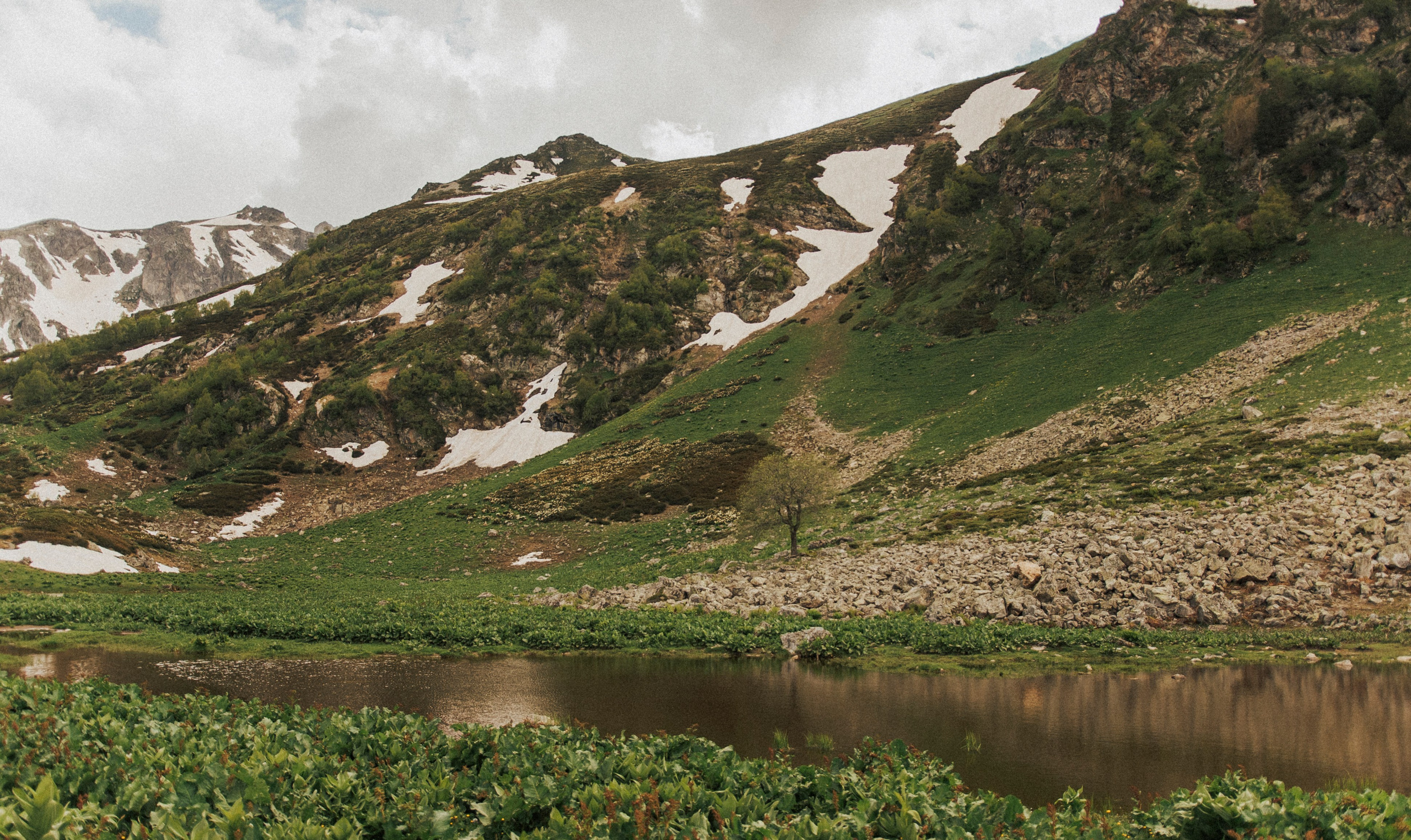 НАША ВЫСОТА 2280. Фотограф Настя Конник | Пятигорск | Эльбрус | Домбай | Архыз | Видеограф КМВ
