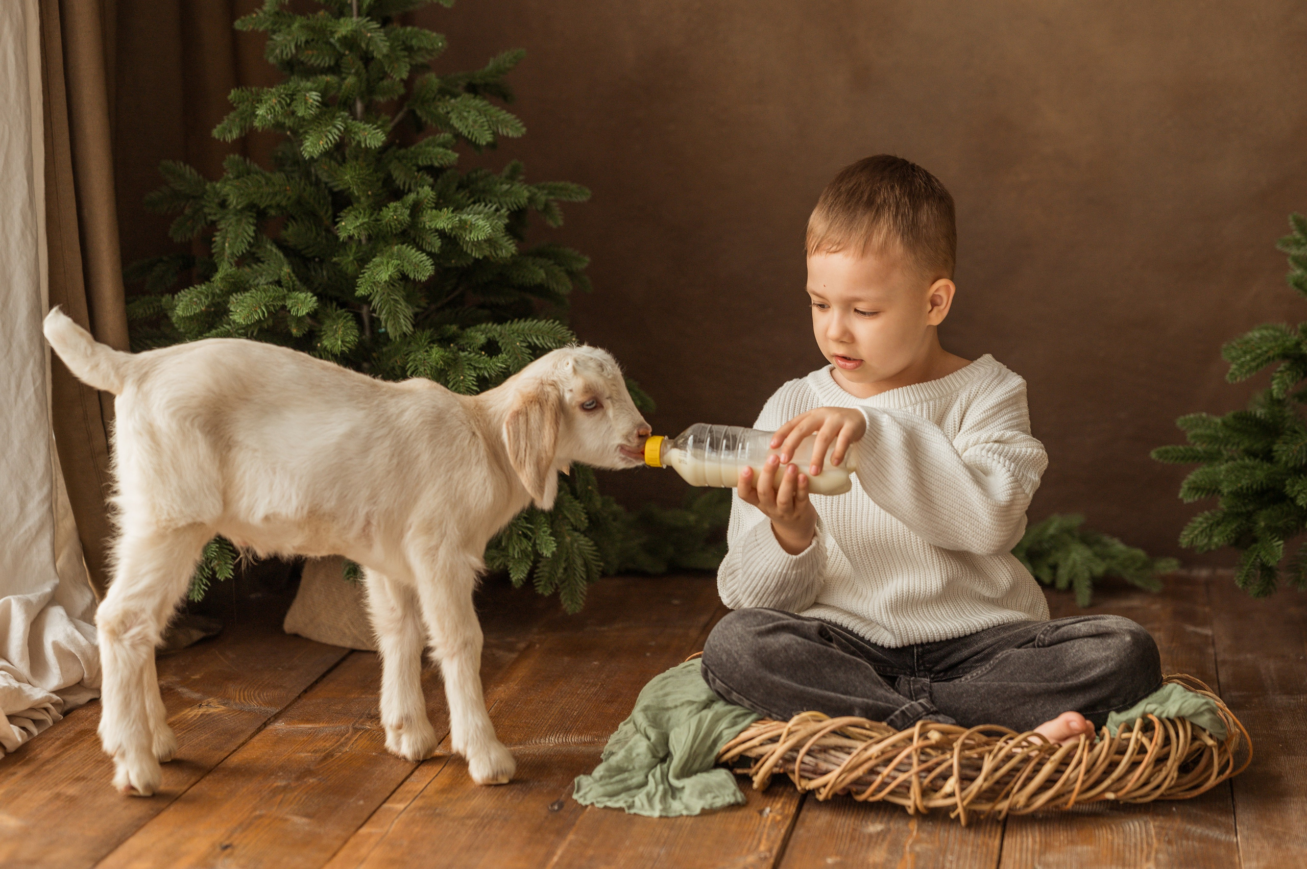 Данечка, Артем и козлик. Детский и семейный фотограф Ирина Гладких