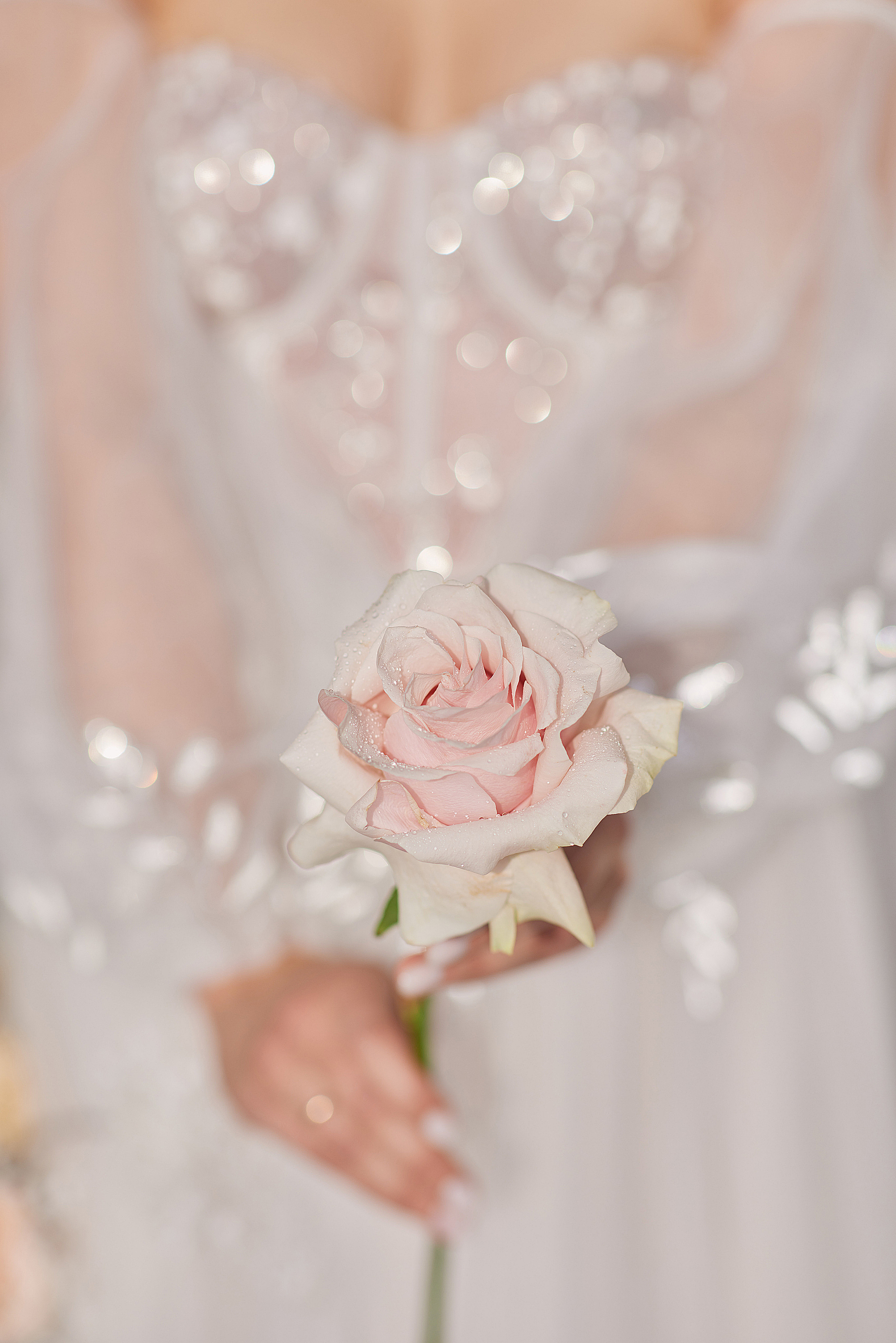 Фотограф Богаченко. Подрядчики и друзья сети свадебных площадок House for wedding