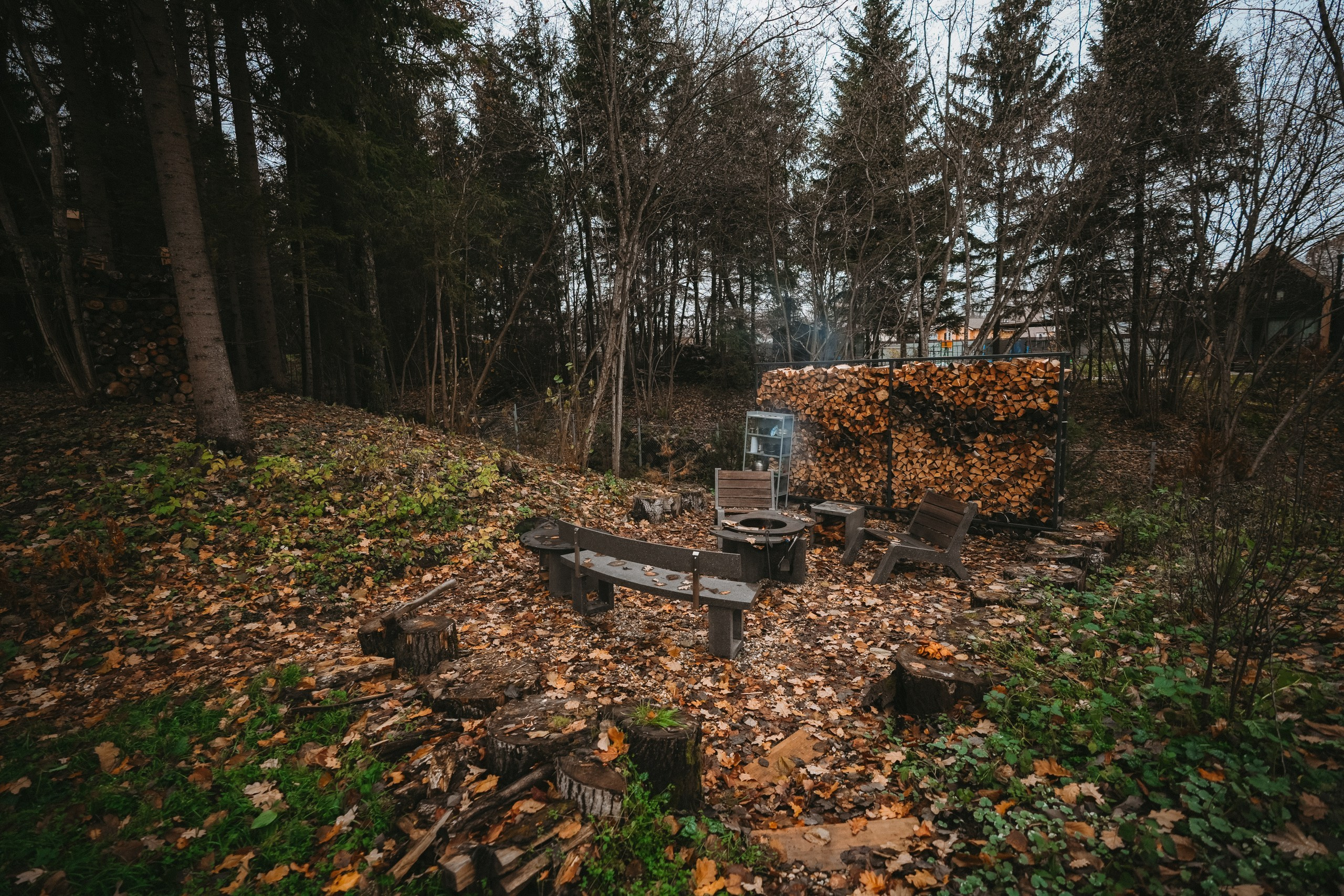 Дом под соснами (осенью)