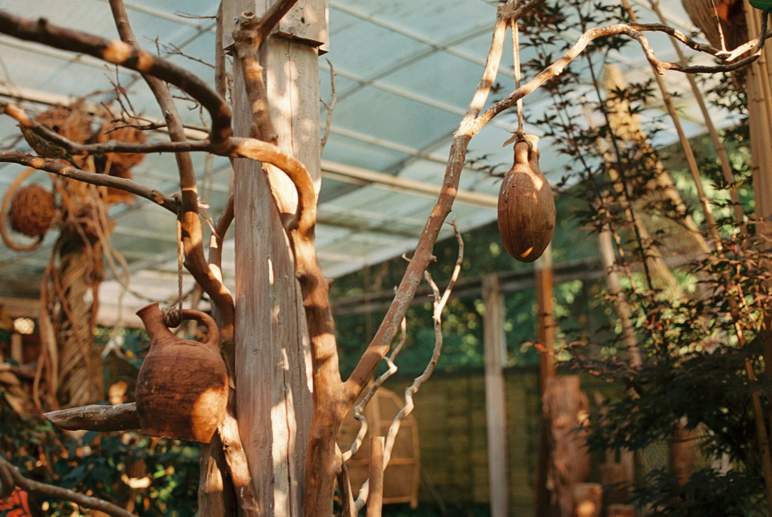 Автор: Марьяна Ноженко