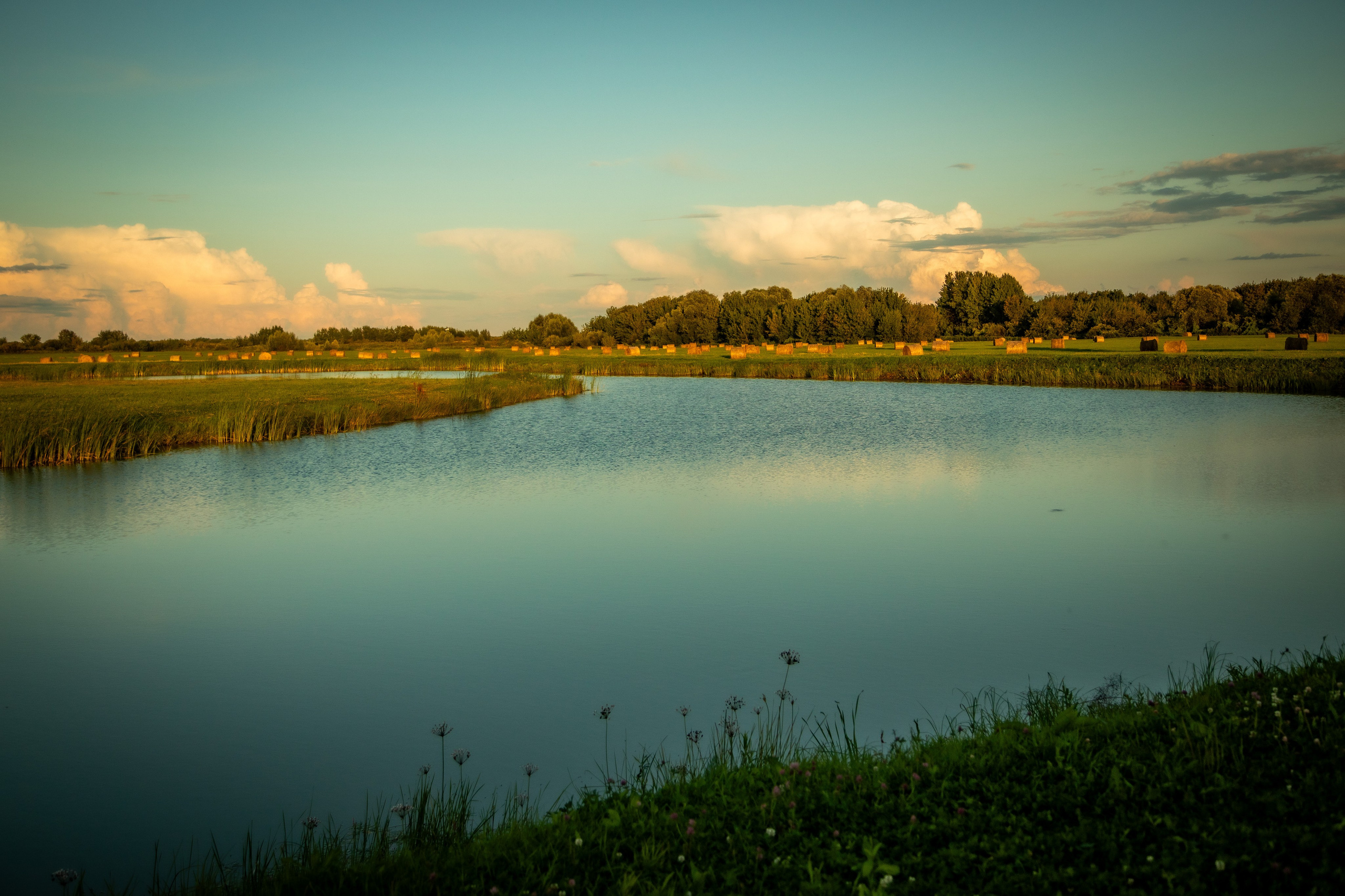 Рязань, август 2024. Фотограф Сергей Ловкий