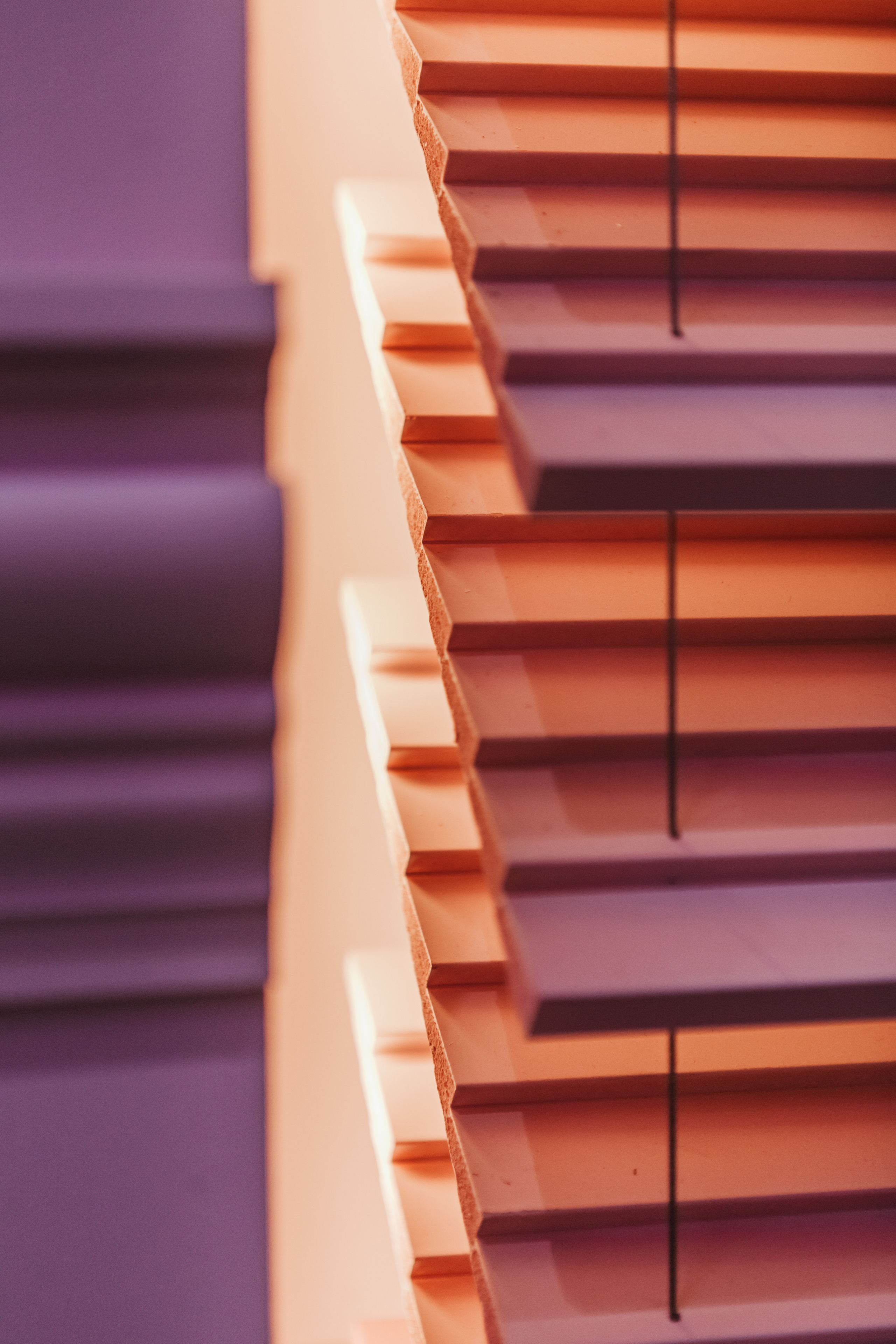 Выставки. Фото и видео для бизнеса Обнинск, Калуга, Москва