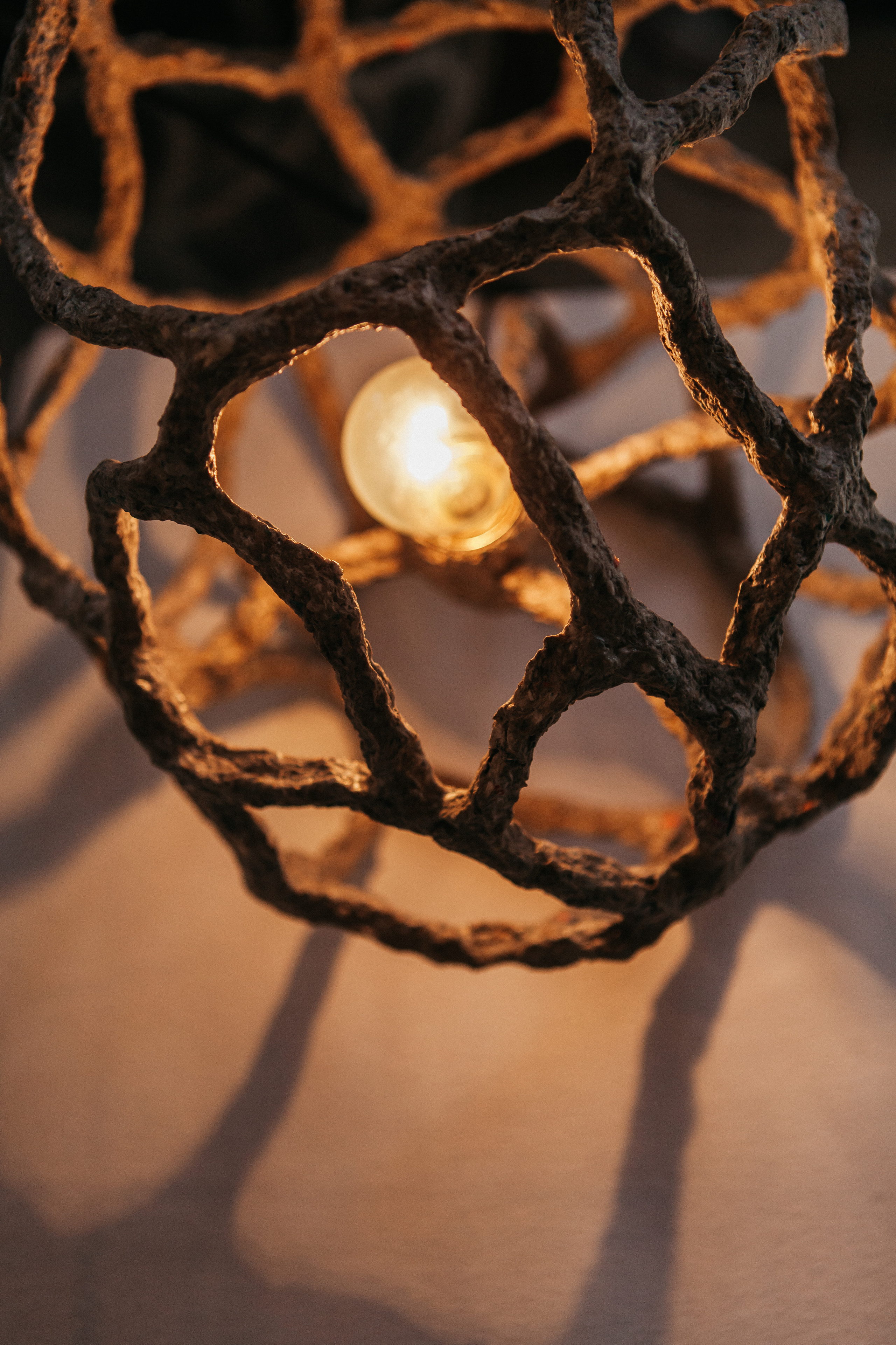 Выставки. Фото и видео для бизнеса Обнинск, Калуга, Москва