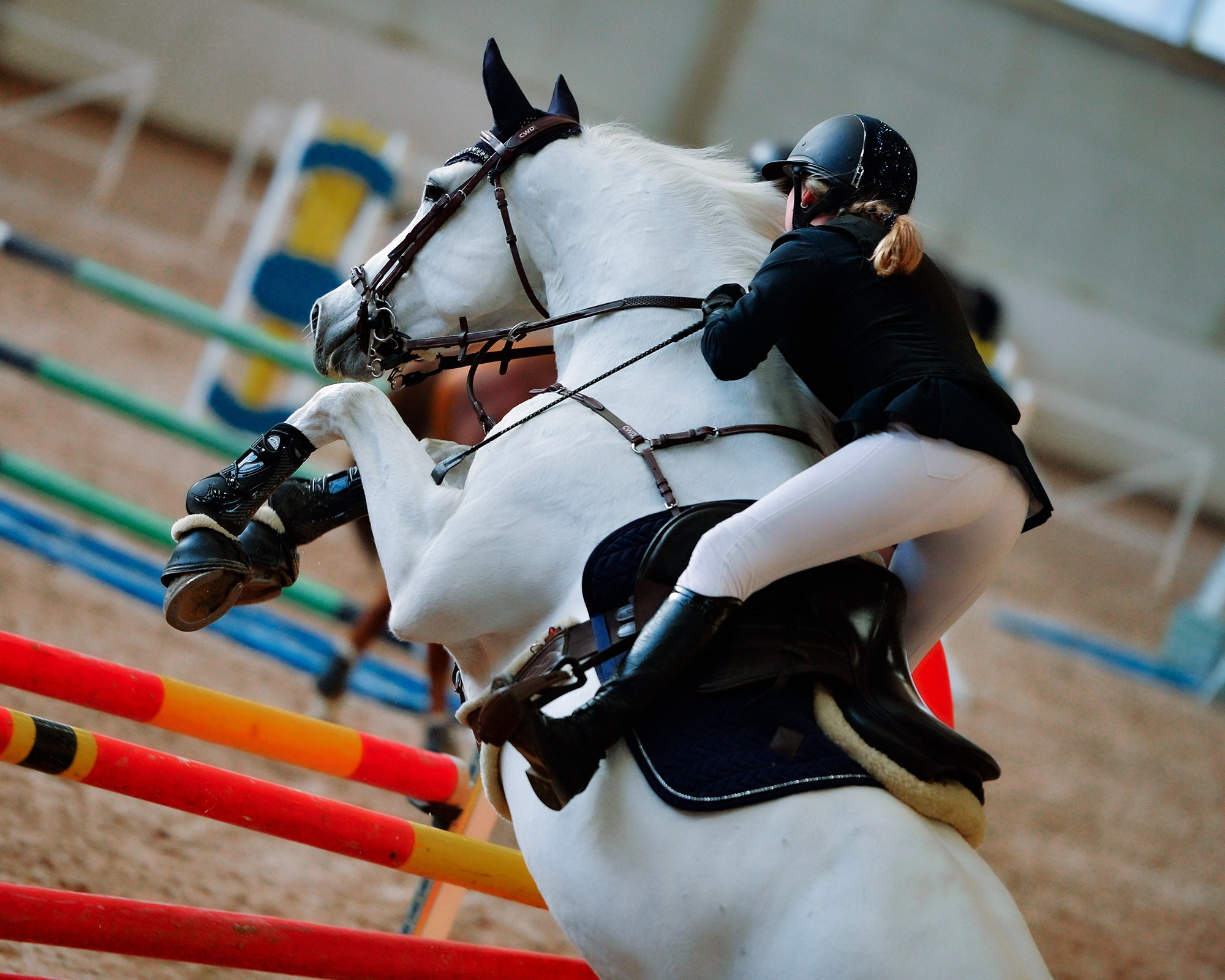 Конкур: кск «Дерби» 18 — 19.10.2025