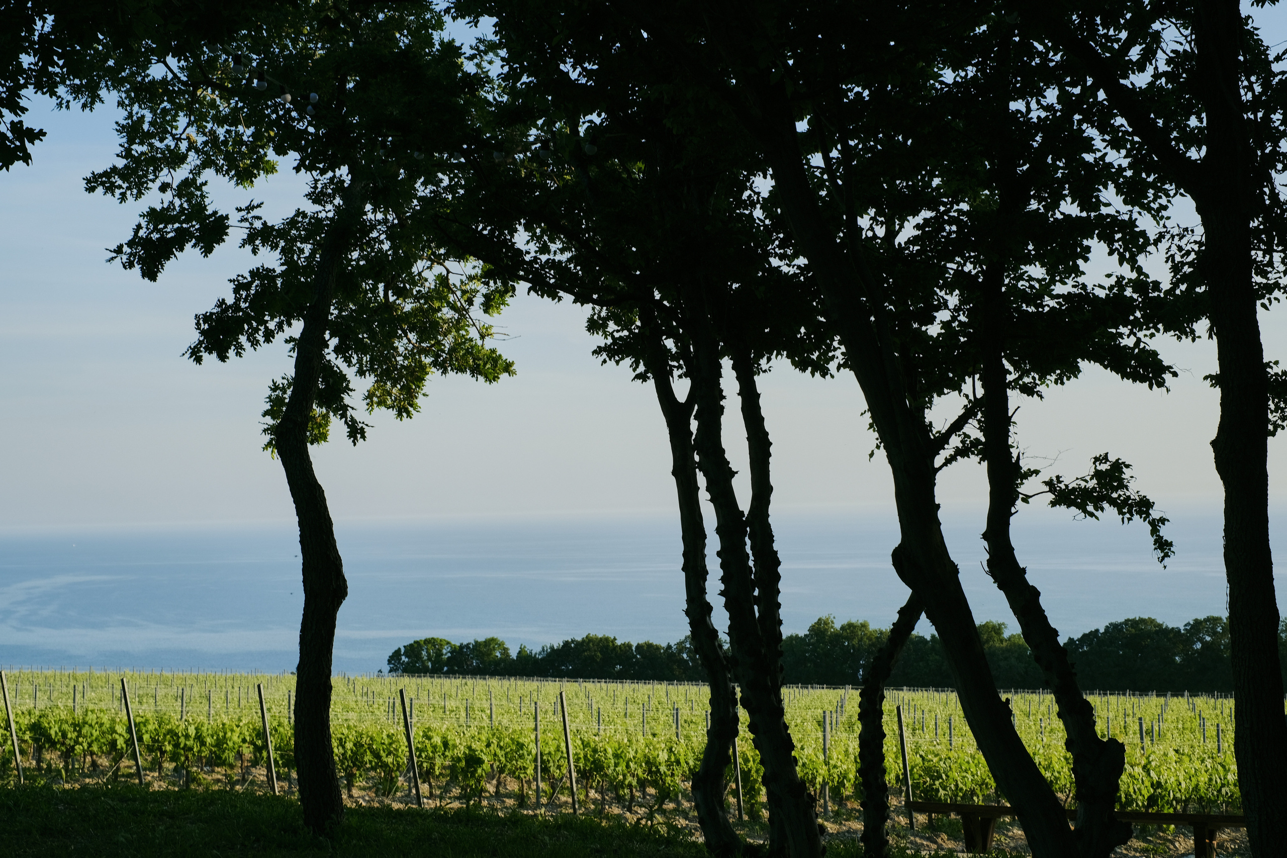 Все без тебя не-так. Wed Photographers 📷 Saint Petersburg