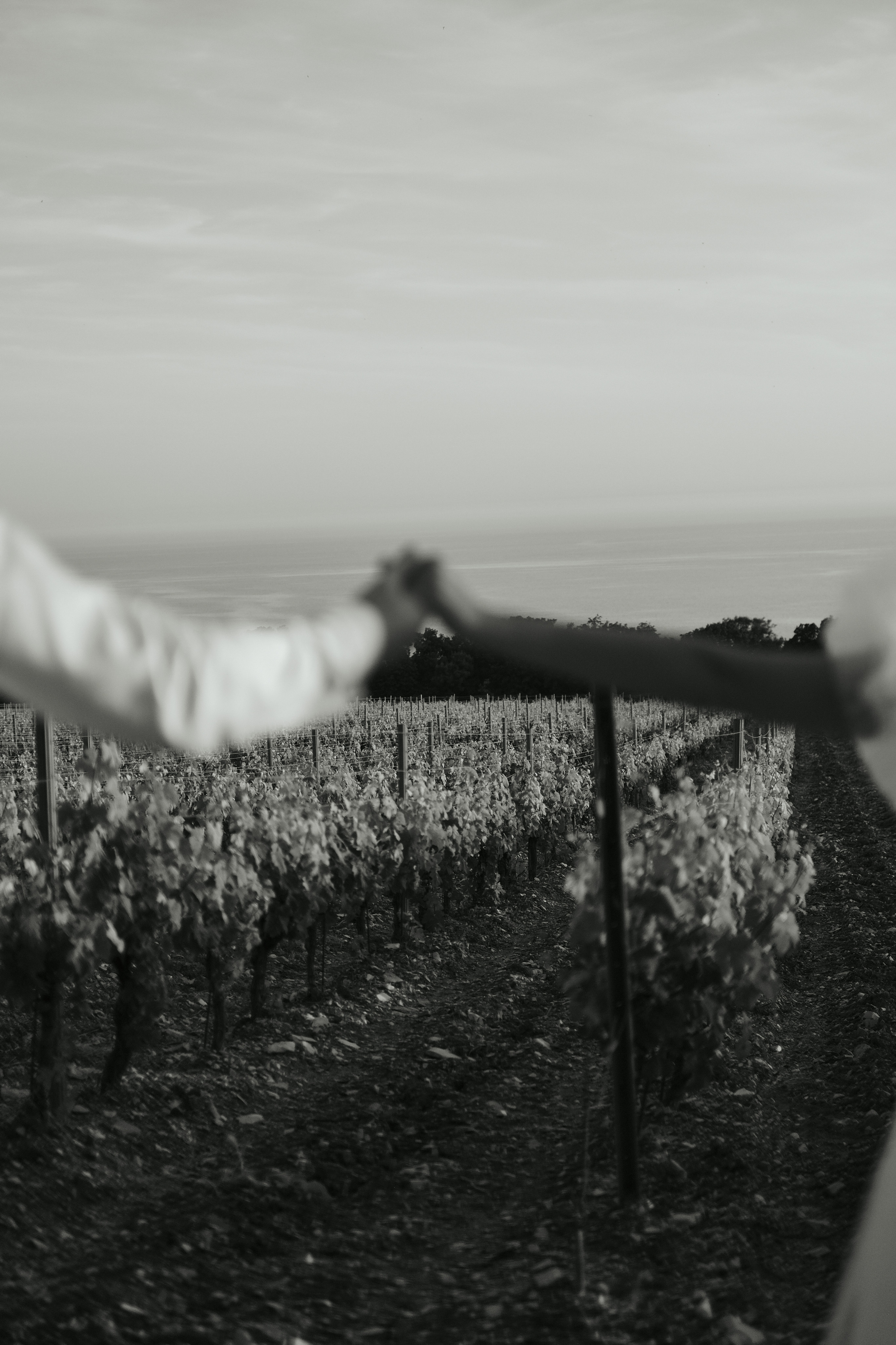 Все без тебя не-так. Wed Photographers 📷 Saint Petersburg