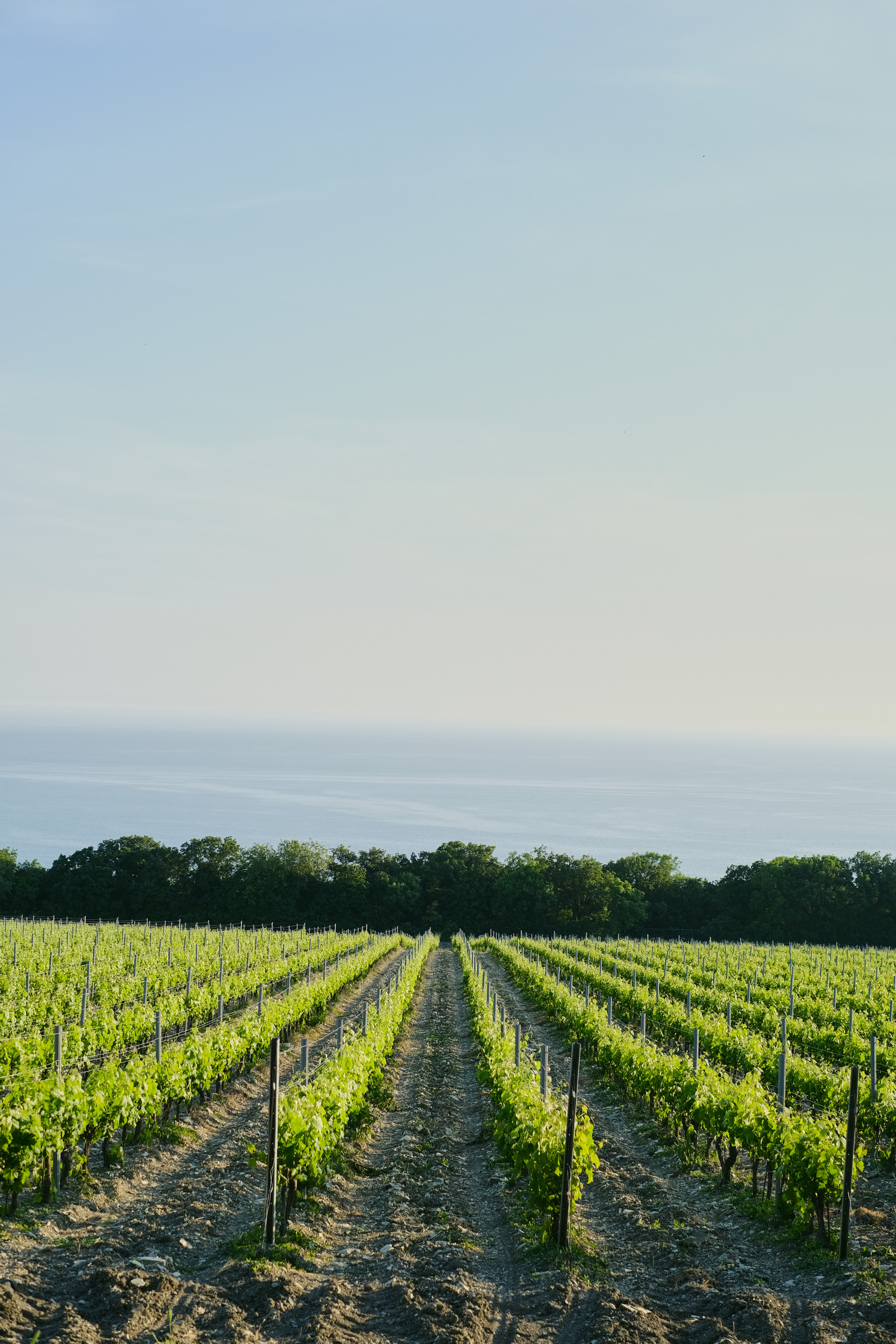 Все без тебя не-так. Wed Photographers 📷 Saint Petersburg