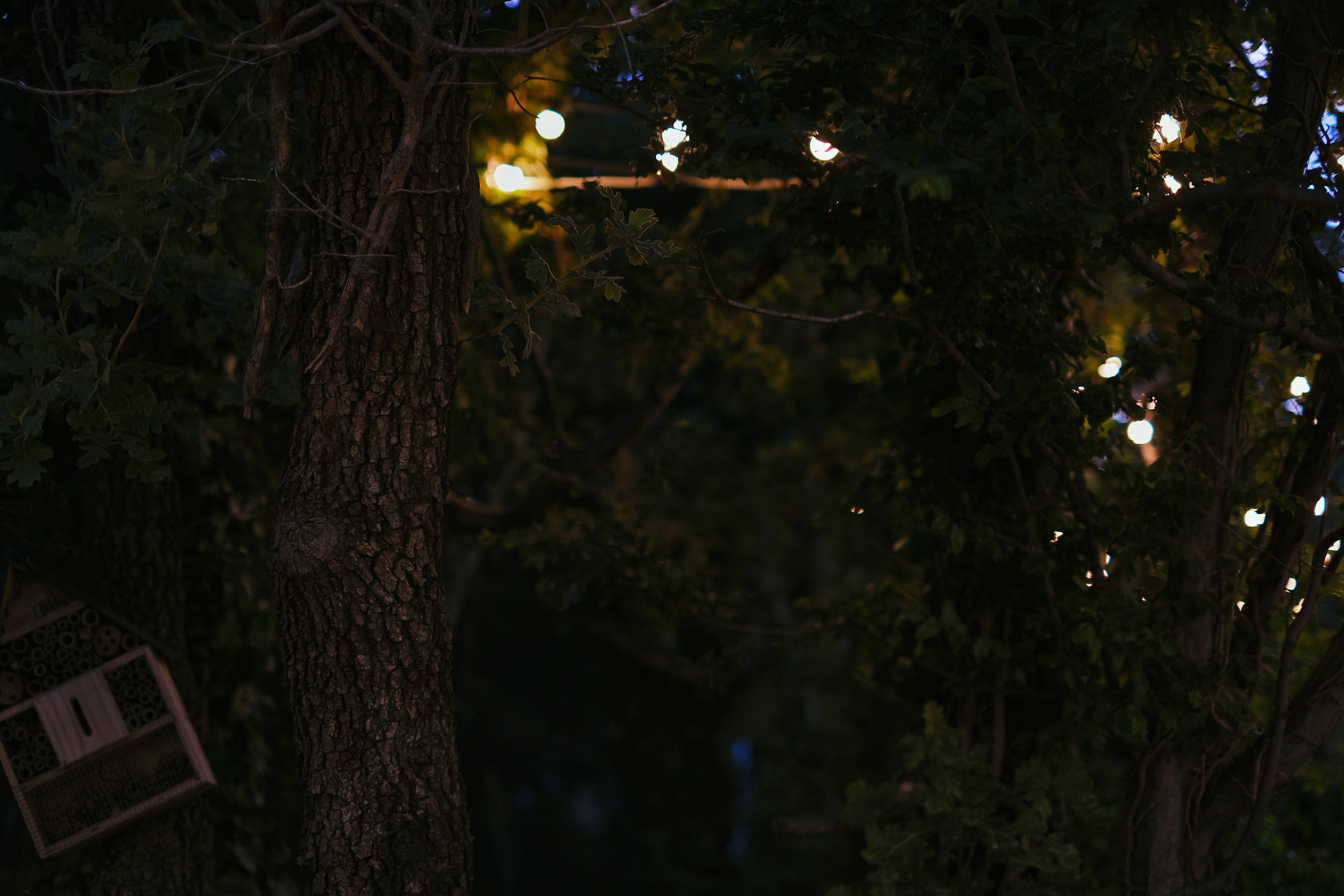 Все без тебя не-так. Wed Photographers 📷 Saint Petersburg
