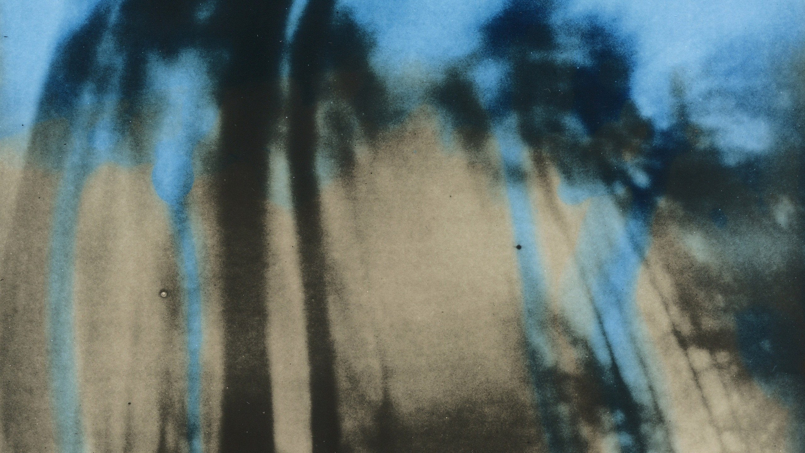 ARIADNA. Dmitry Gudimenko | Analog visual artist