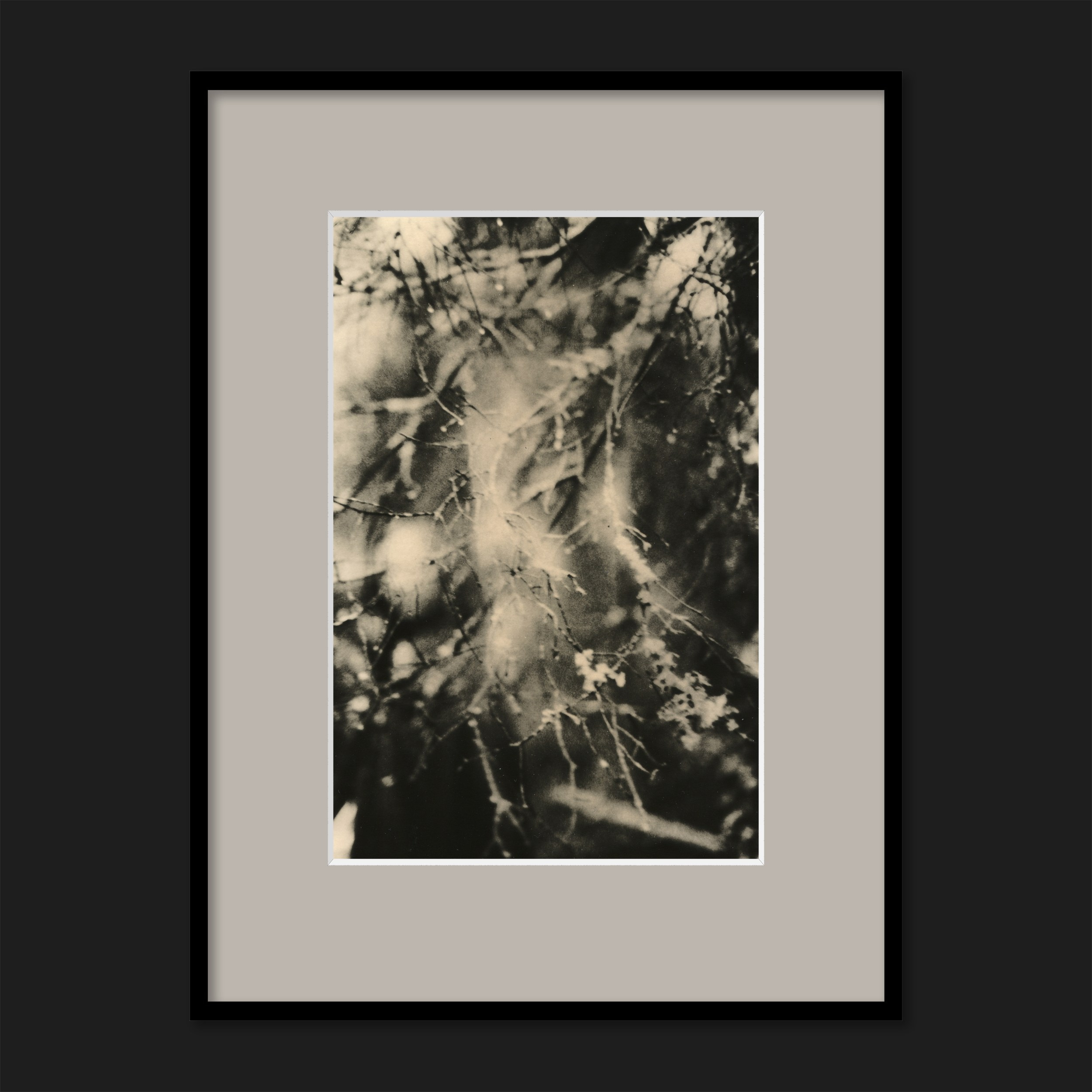 ARIADNA. Dmitry Gudimenko | Analog visual artist